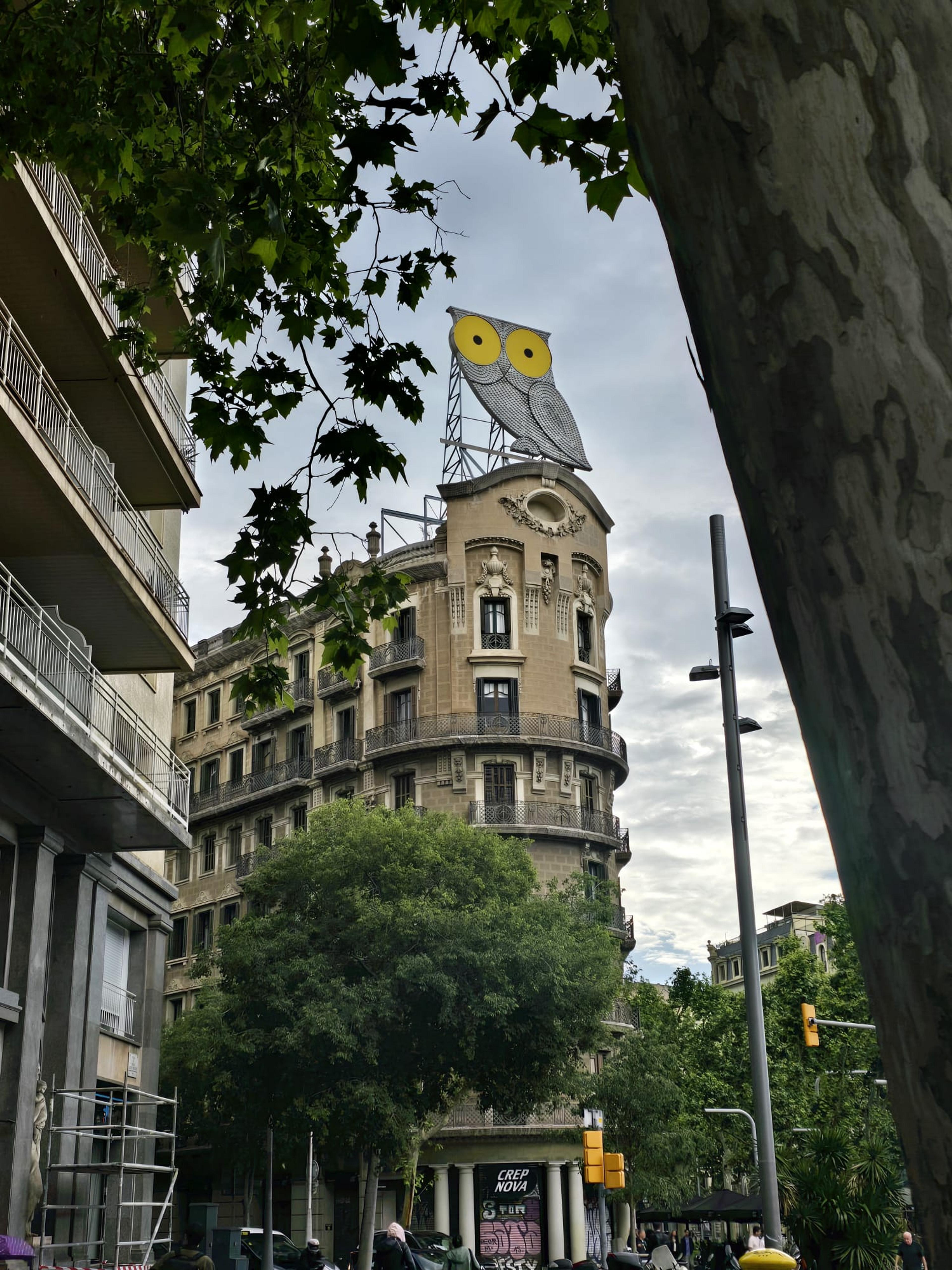 Postcard from IndomitableVisitant25453