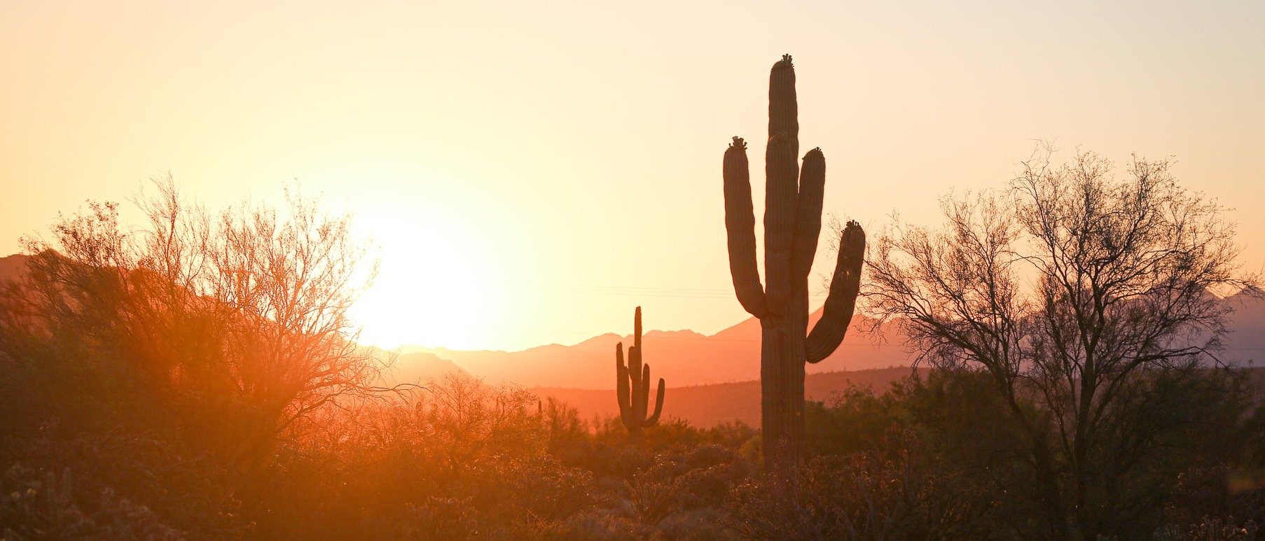 Nashville, Phoenix, Seattle and more 🇺🇸 in €350s-€470s rtn