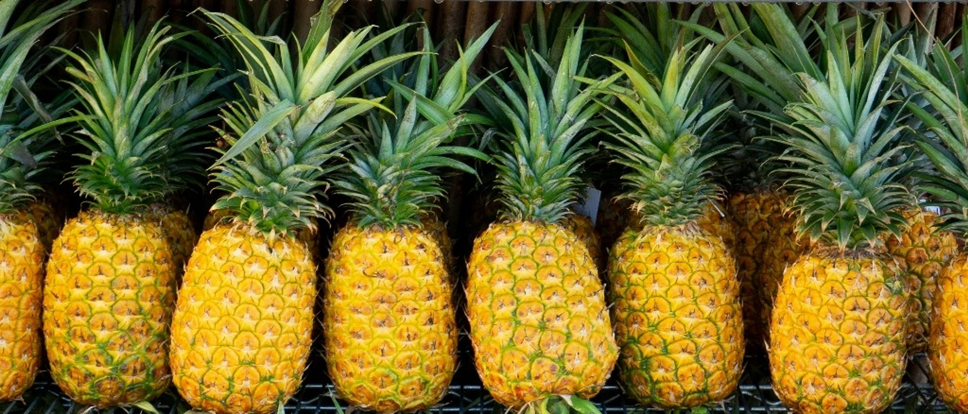 Honolulu 🌺 at $236 RT