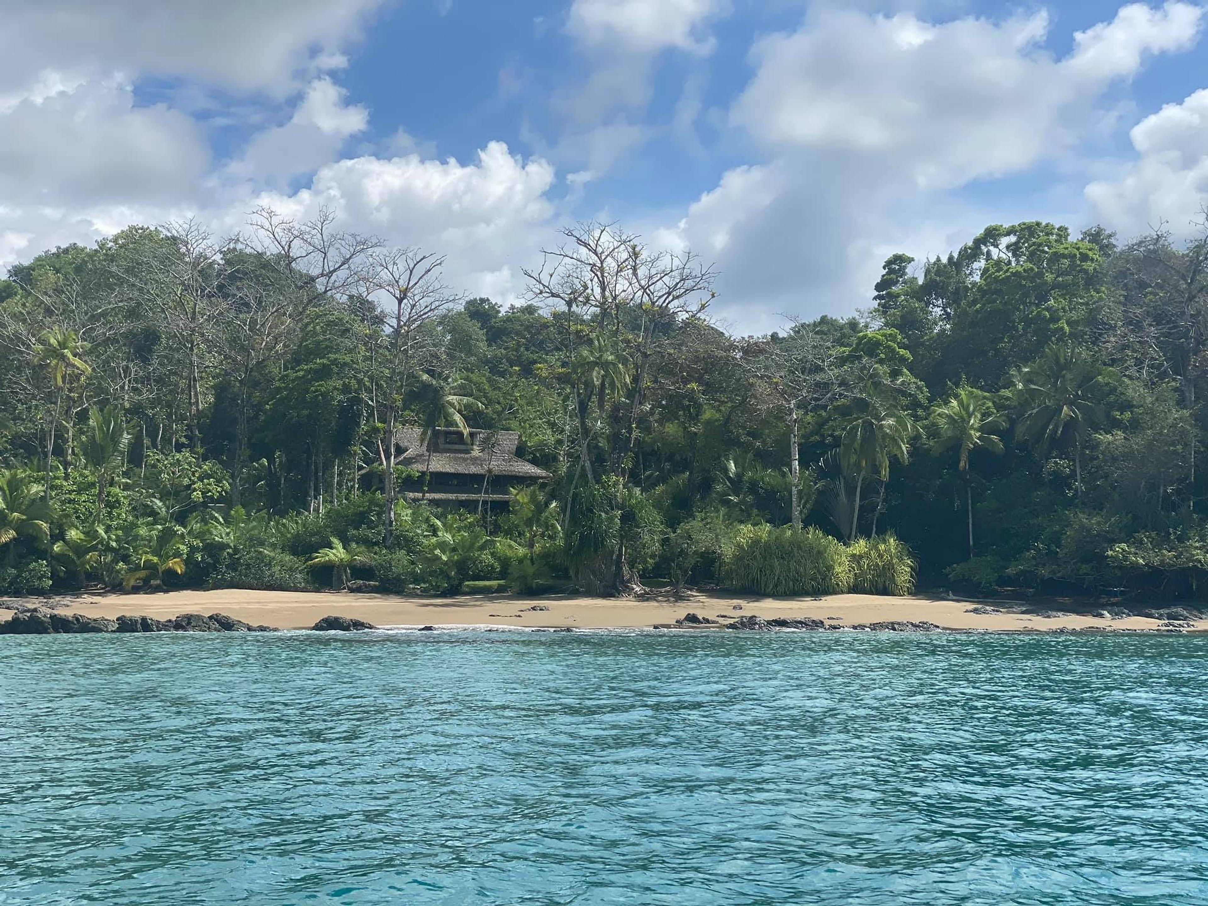 A tranquil beach with lush greenery lines the shore