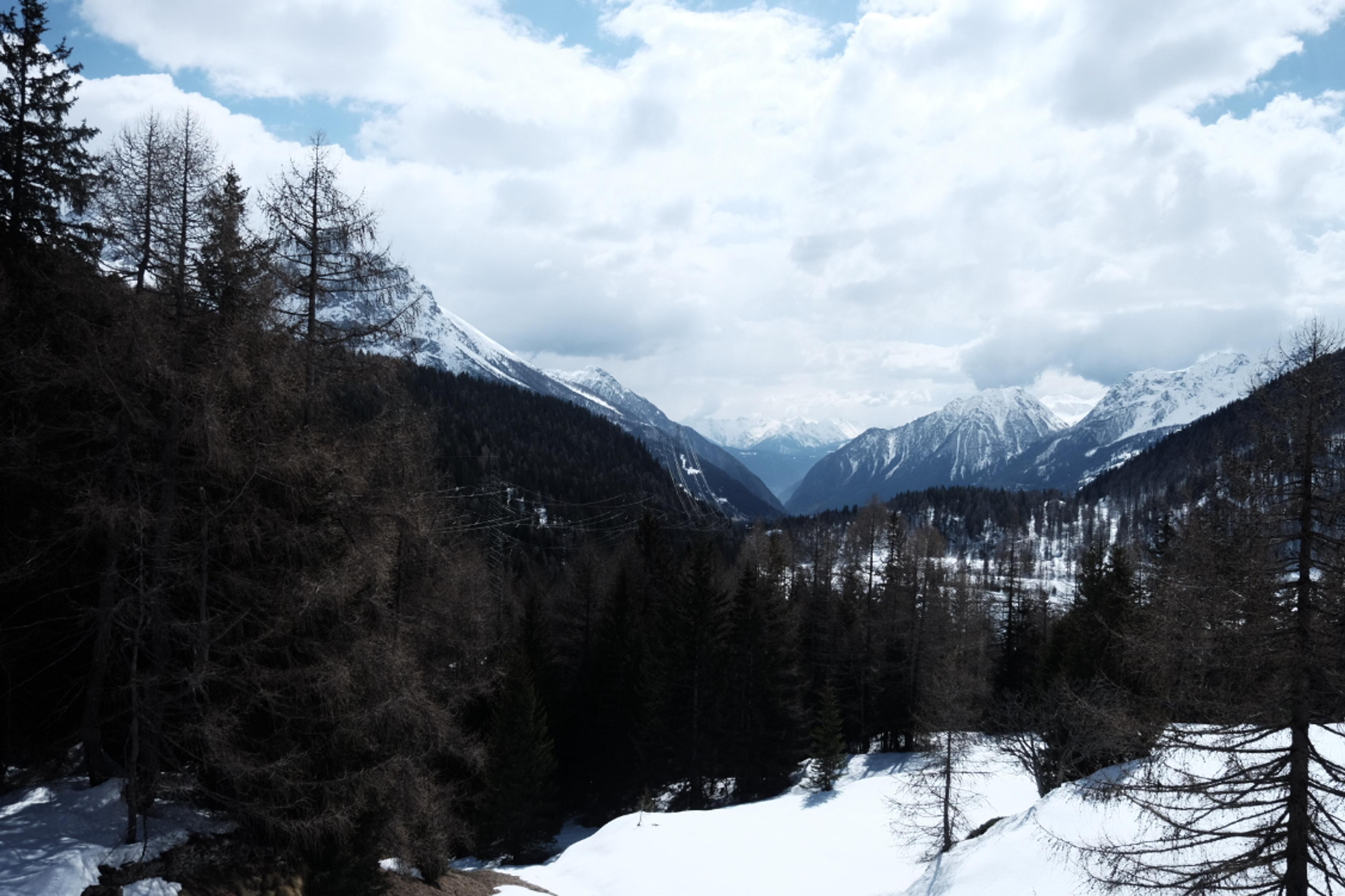 Snowy mountains and evergreen trees create a picturesque winter scene in Switzerland's Engadin Valley.