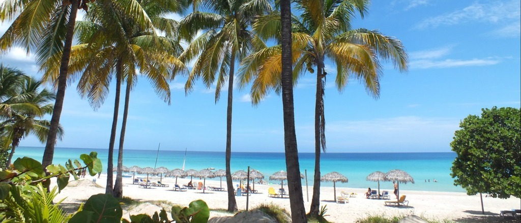 Havana 🍹 in $460s-$650s RT