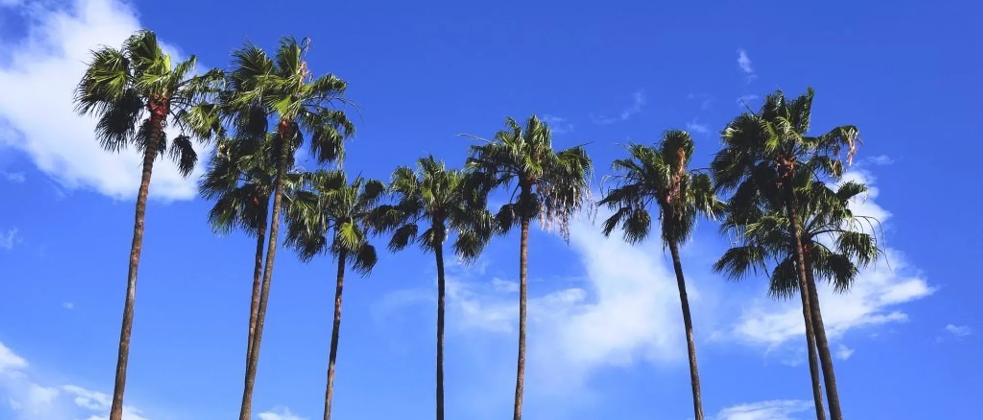 The US, Caribbean and Central America  in $90s-$440s RT
