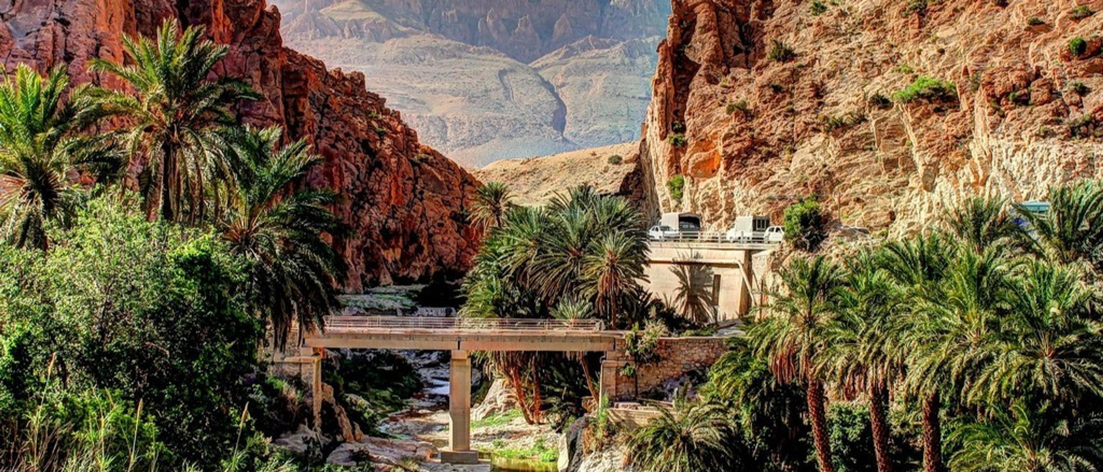 All around Algeria 🕌 in $700s-$780s RT
