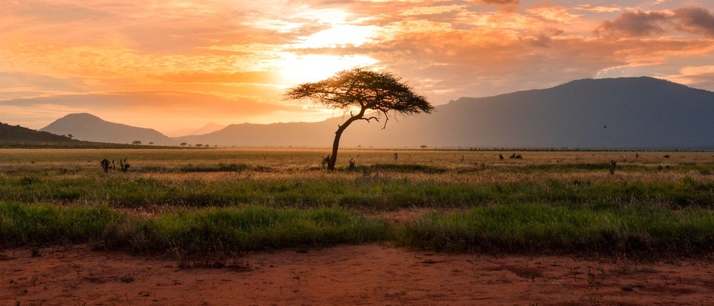 Nairobi 🦒 in €440s-€550s rtn 