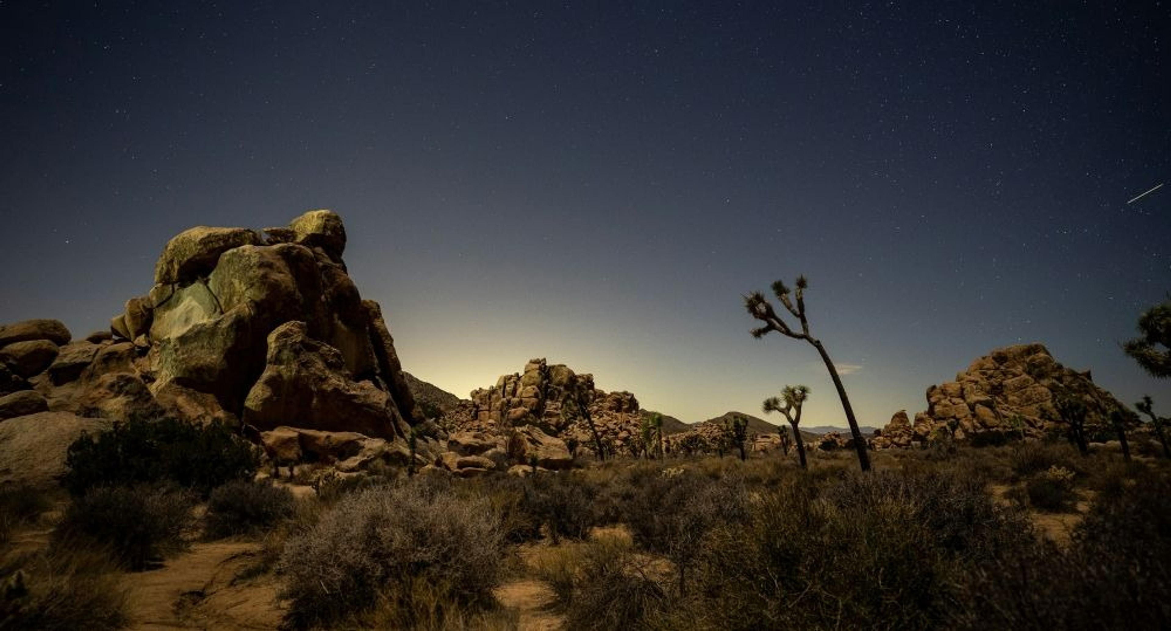 A starry night sky illuminates the desert landscape of Joshua Tree National Park, showcasing its distinctive rock formations and Joshua trees.