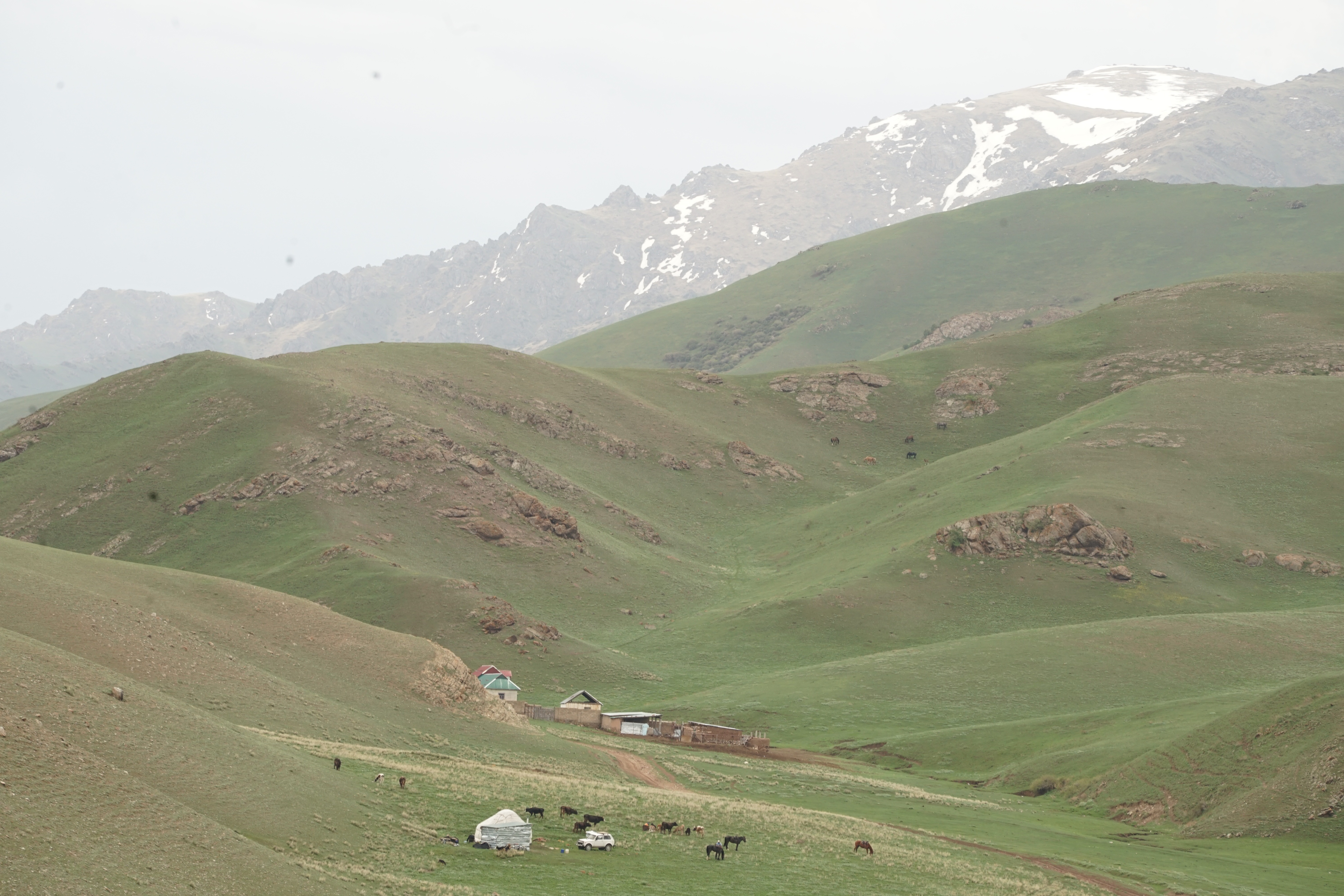 Rolling green hills dotted with yurts and grazing animals stretch towards the snow-capped mountains of Kyrgyzstan.