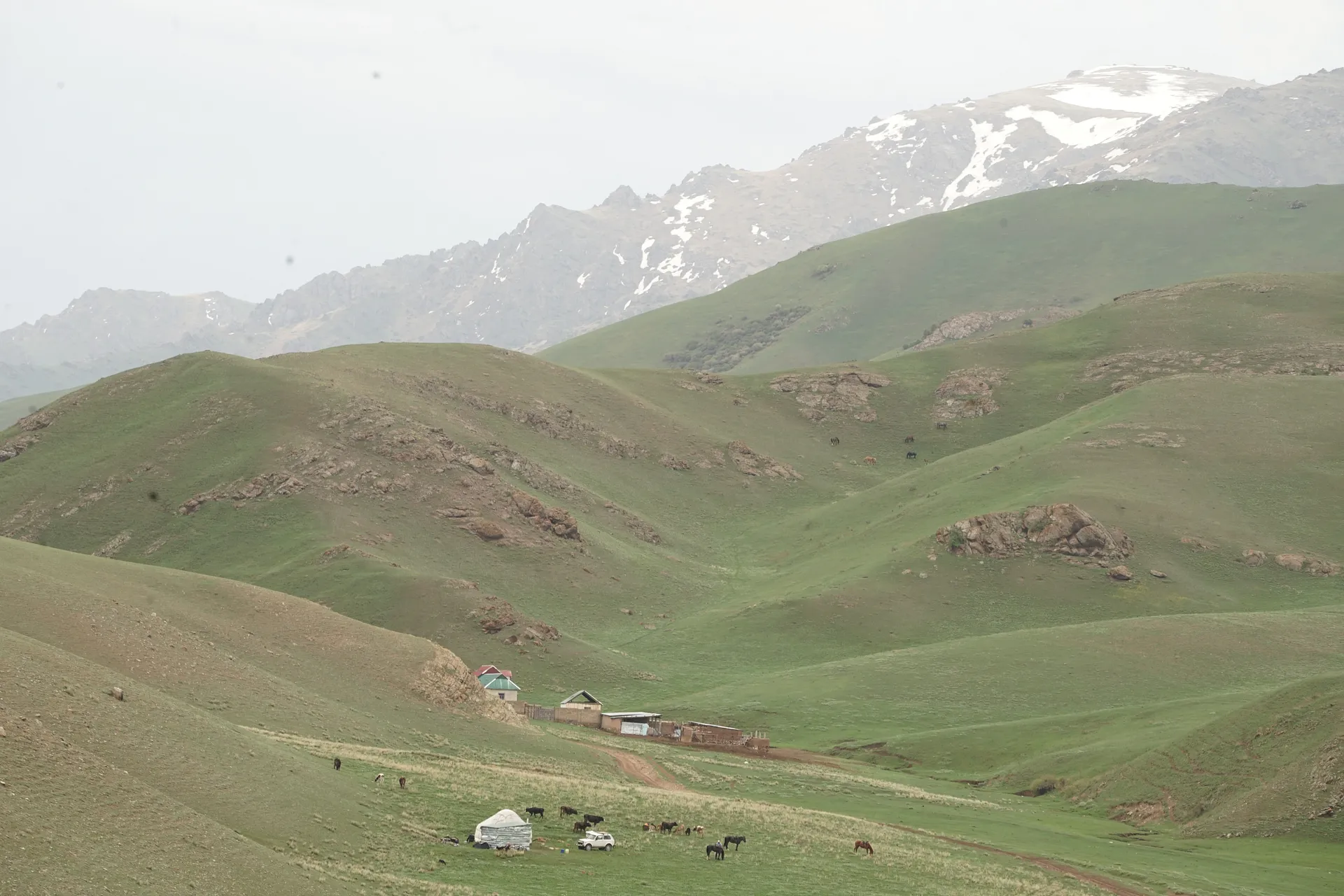 Rolling green hills dotted with yurts and grazing animals stretch towards the snow-capped mountains of Kyrgyzstan.