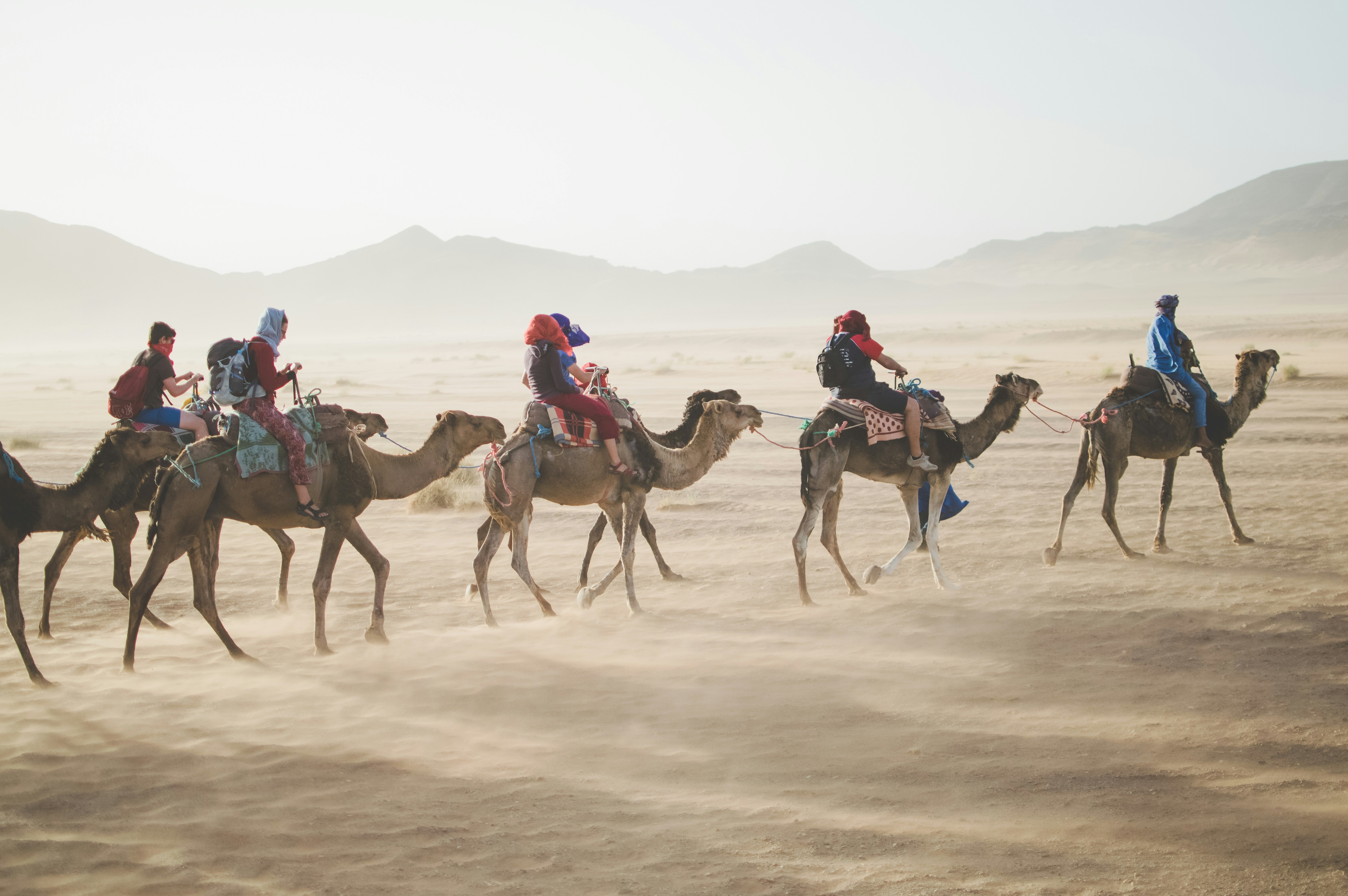A group of people ride camels across the sandy landscape of the Sahara Desert.