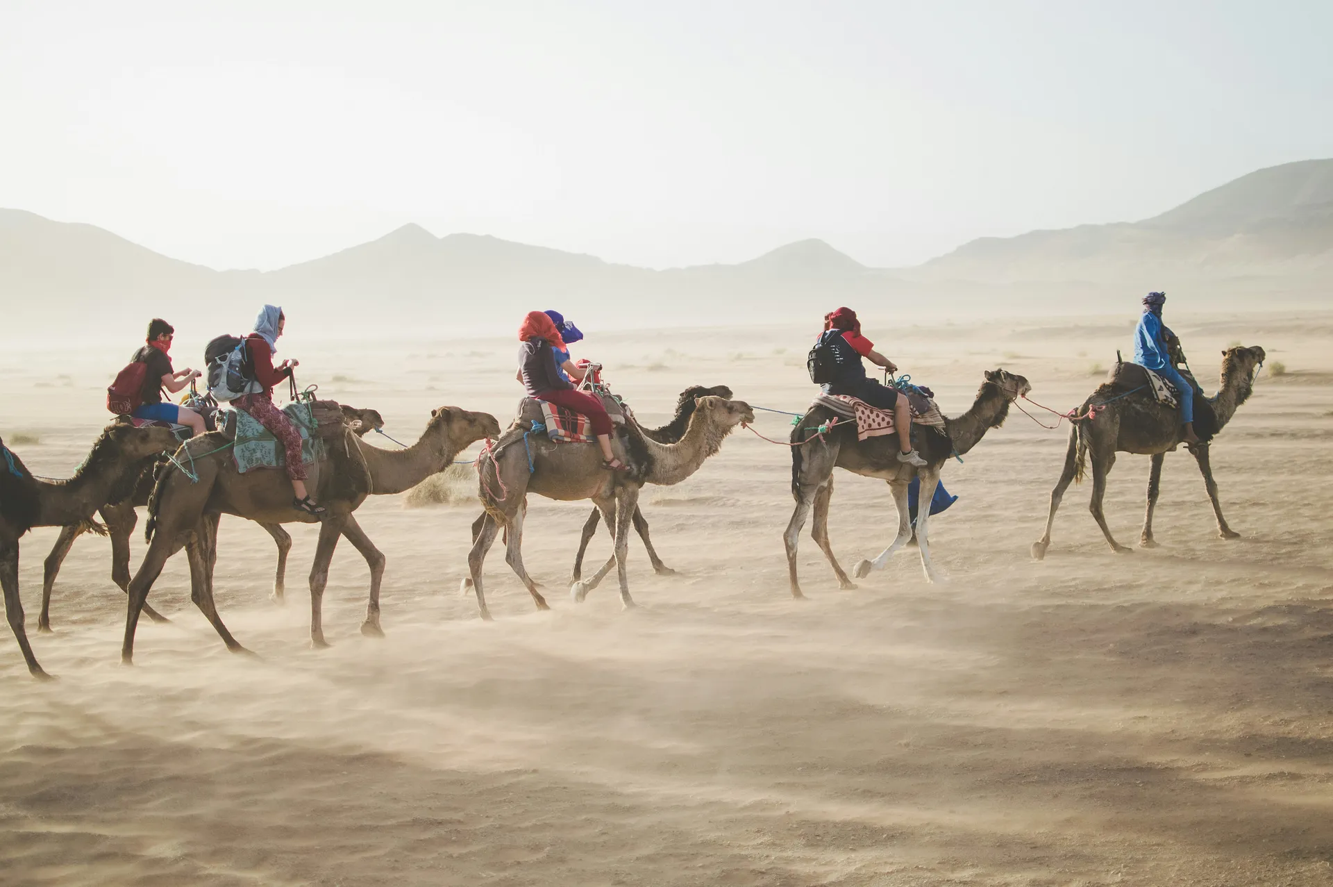 A group of people ride camels across the sandy landscape of the Sahara Desert.