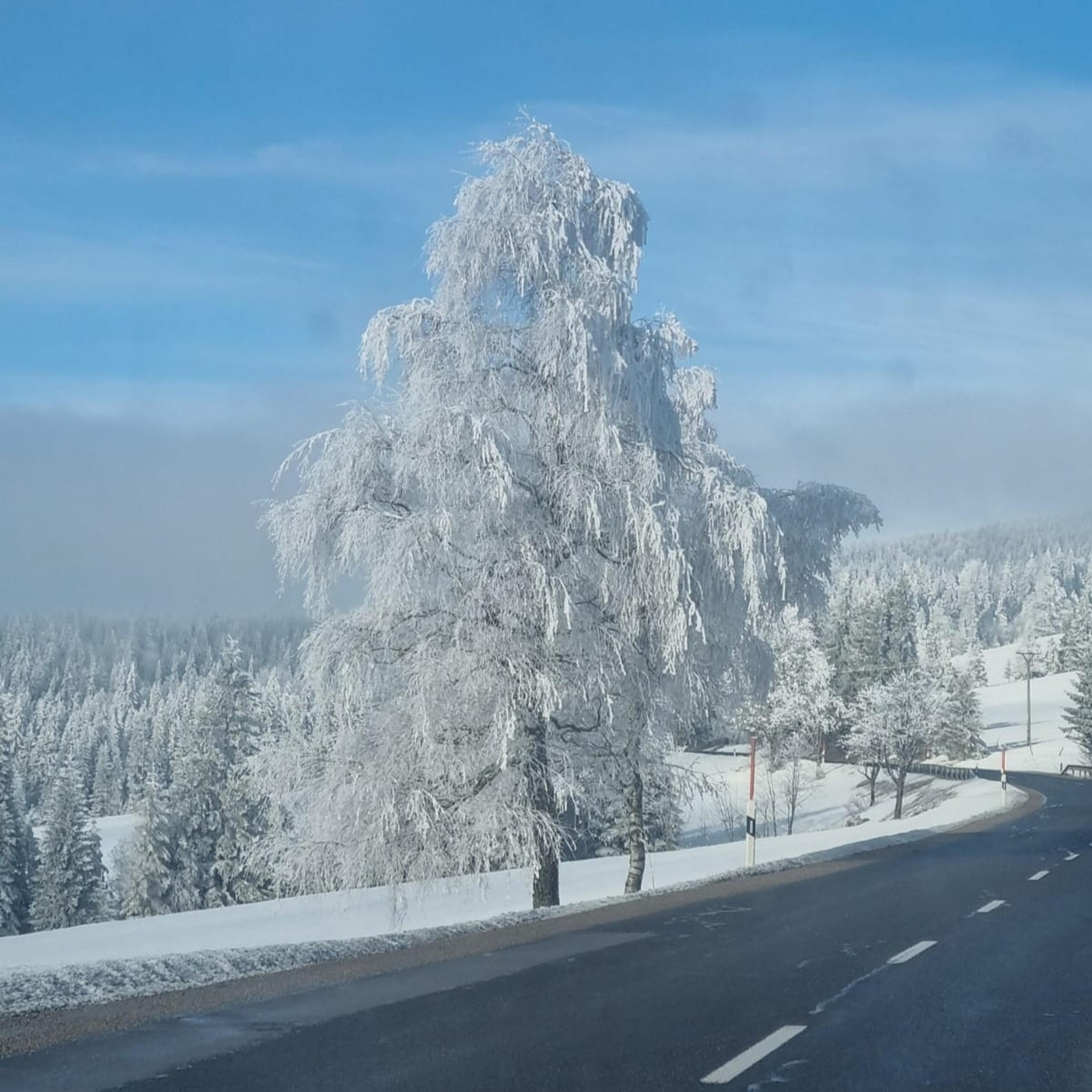 A snow-covered winter landscape near Black Forest National Park, Germany.
