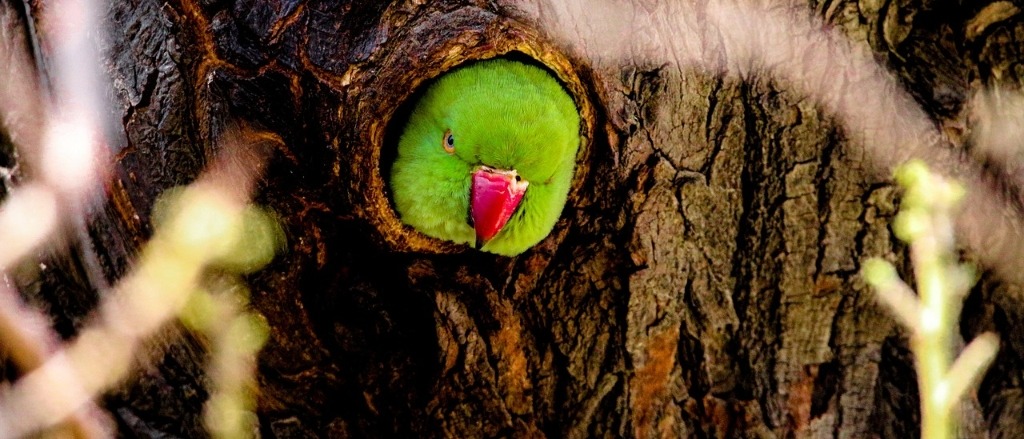 Paraguay, Colombia & Peru  in £550s-£710s rtn