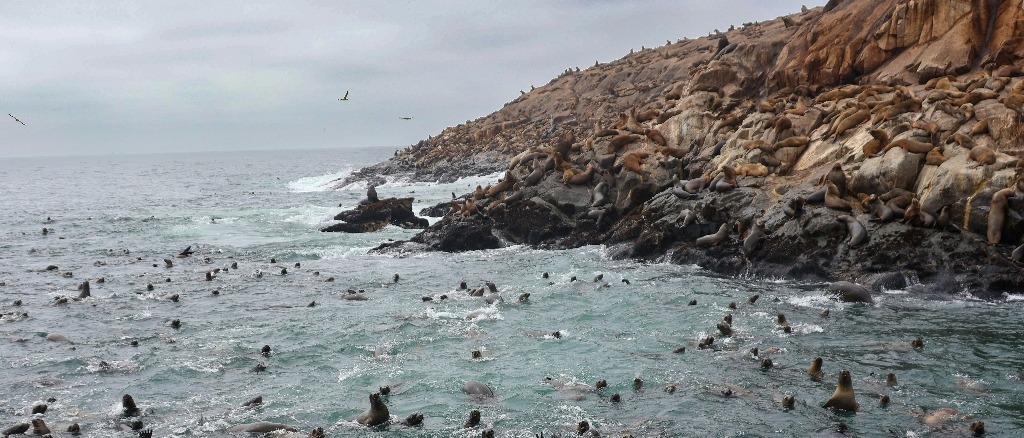 Lima, Peru  in £540s-£590s rtn