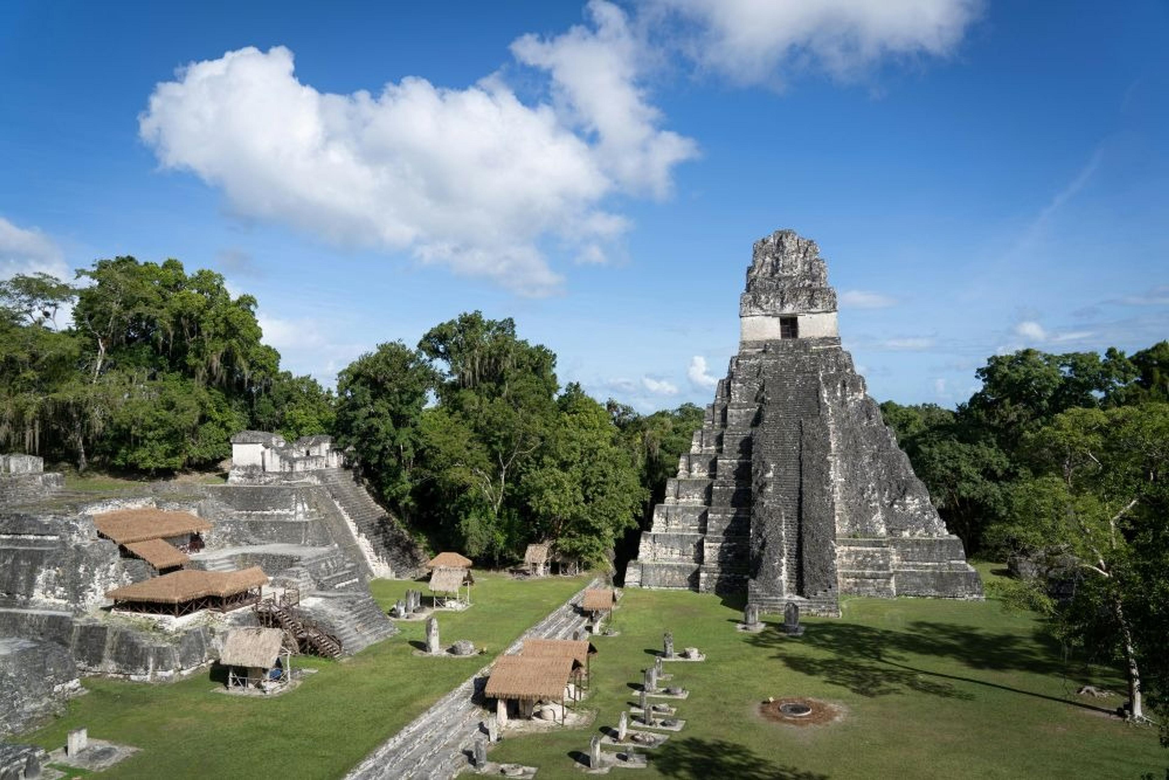 An ancient stepped pyramid rises prominently in the archaeological site of Tikal, Guatemala, surrounded by lush rainforests.