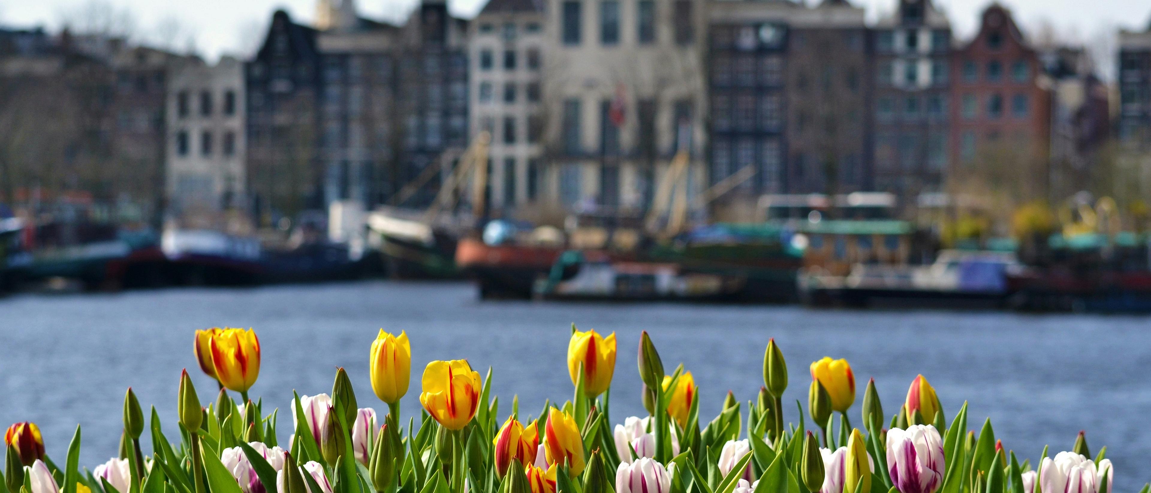 Amsterdam 🌷 in €130s-€150s rtn 