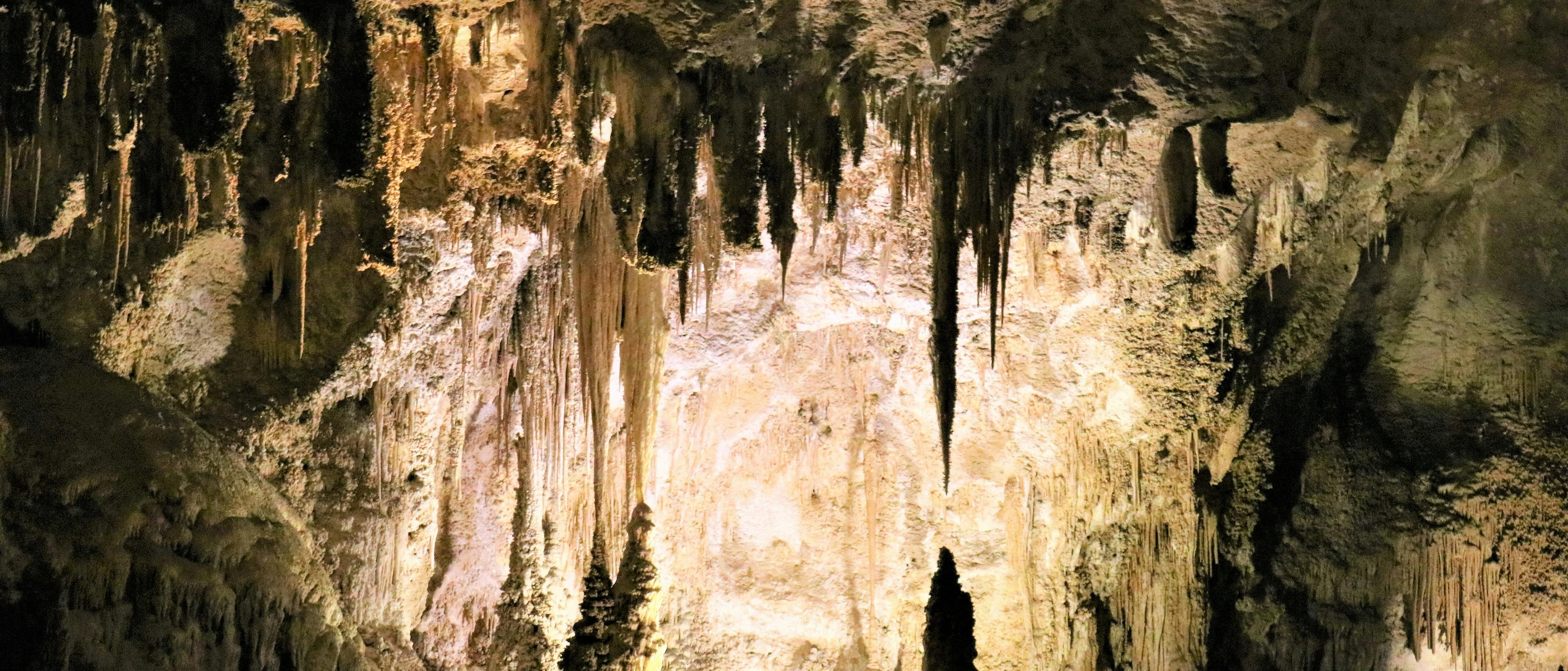 carlsbad caverns banner size