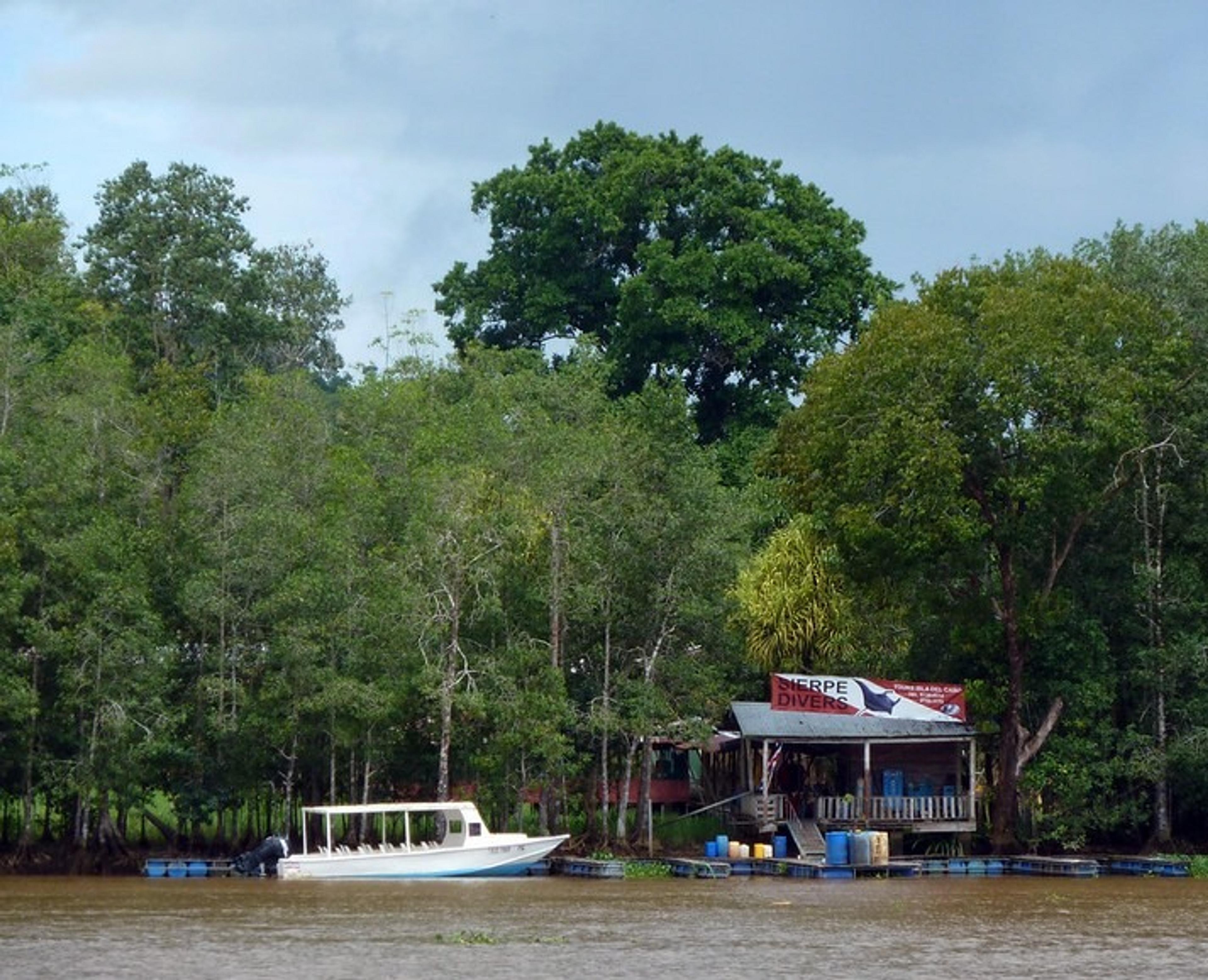 A small boat is docked beside a rustic dive center surrounded by dense mangrove trees on the river of Sierpe
