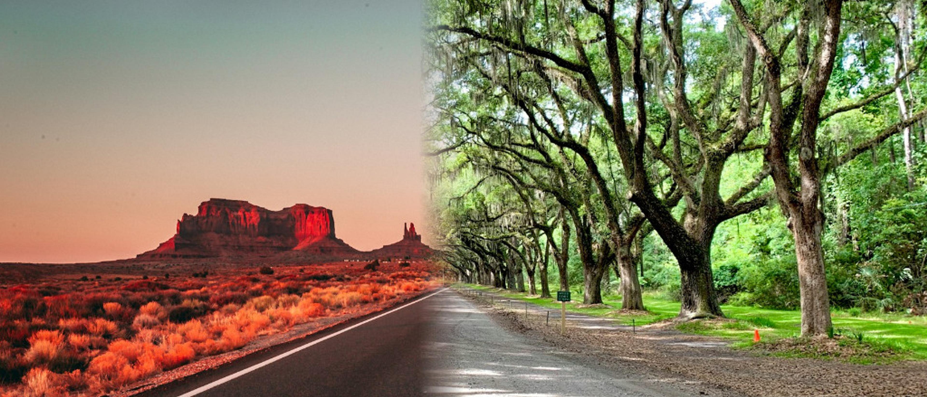 Atlanta to Phoenix 🍑🌵 and vice versa at $139 RT