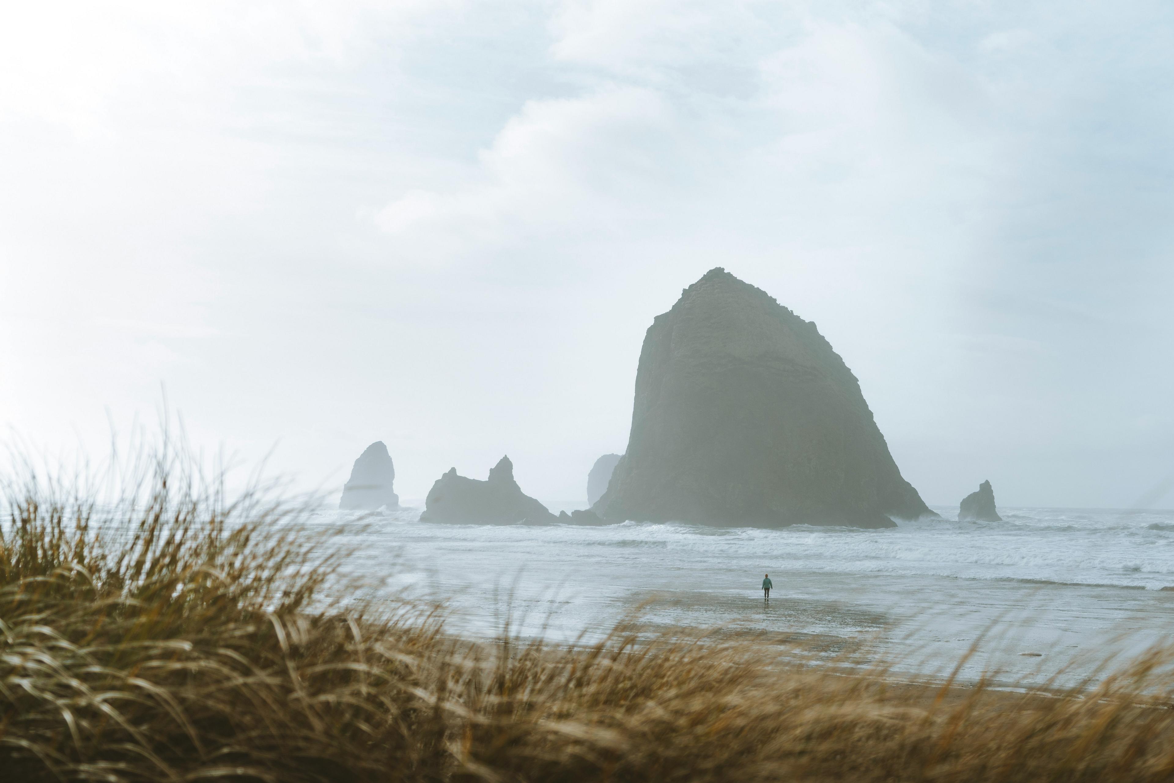 A solitary figure walks along the beach near Haystack Rock in Cannon Beach, Oregon, surrounded by tall grasses and misty coastal scenery.