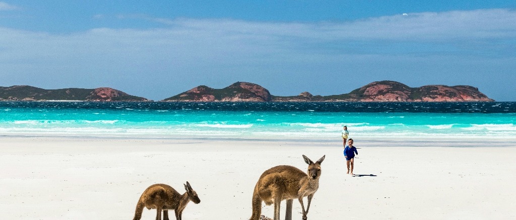 Sydney  at $7083 RT