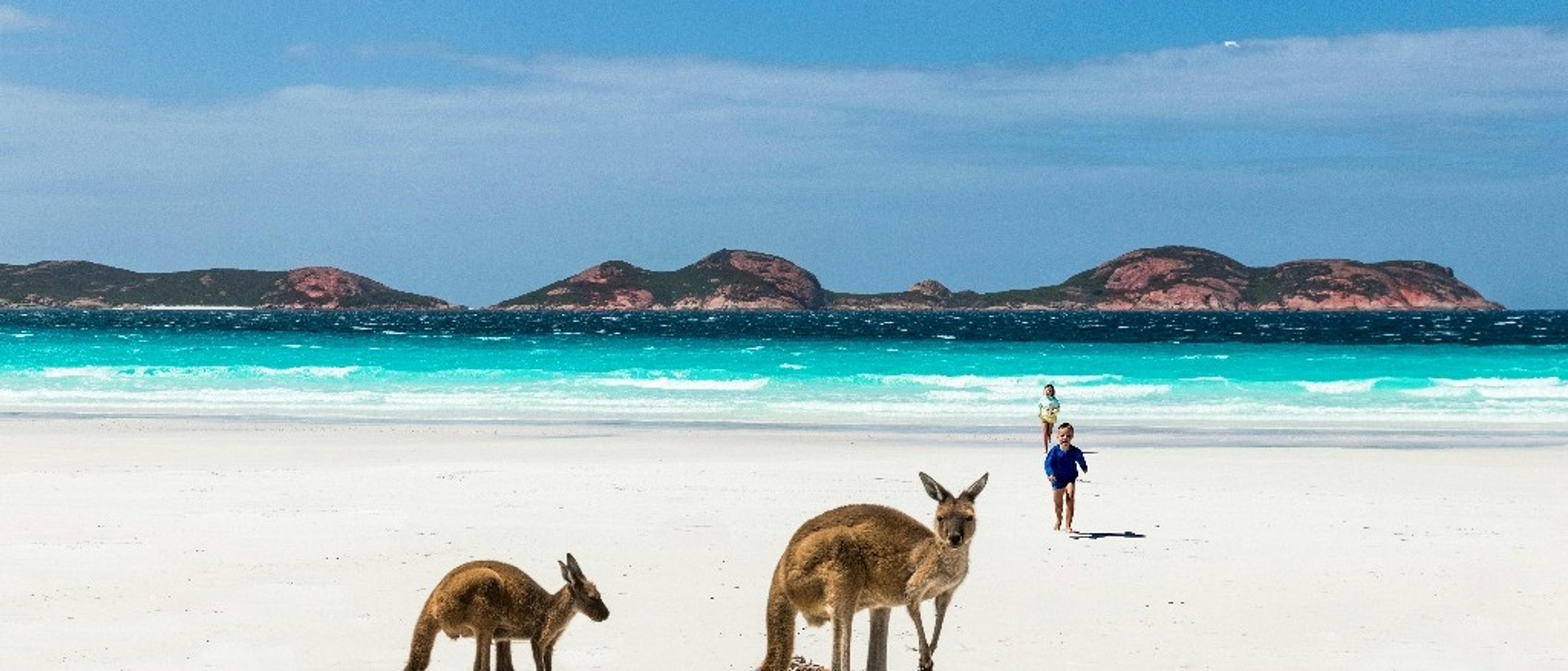 Sydney  at $7083 RT