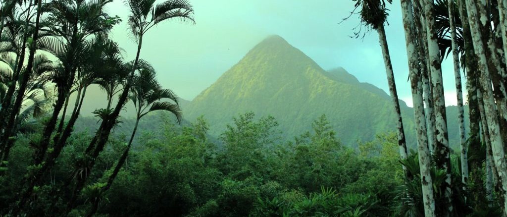 Martinique  in €480s-€500s rtn