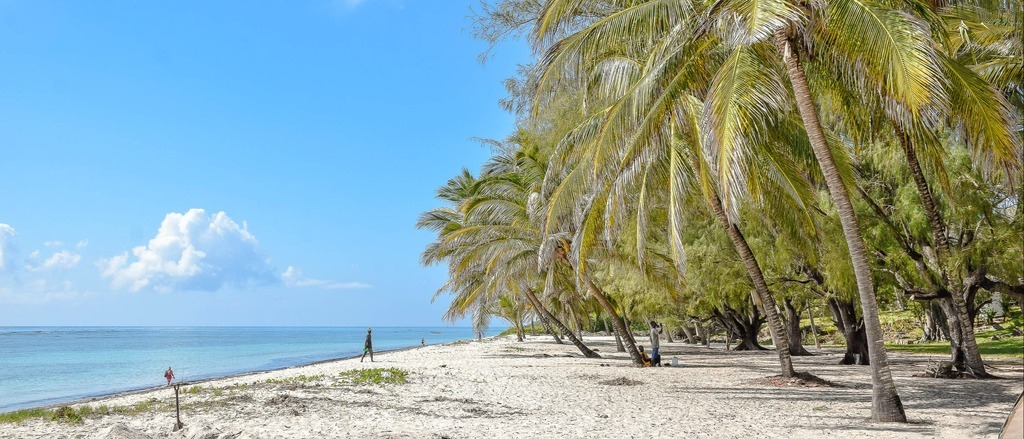Africa 🌇 in €410s-€590s rtn and business in €1450s-€1690s rtn