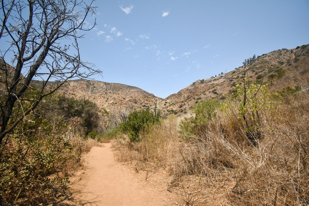 A trail in San Diego County