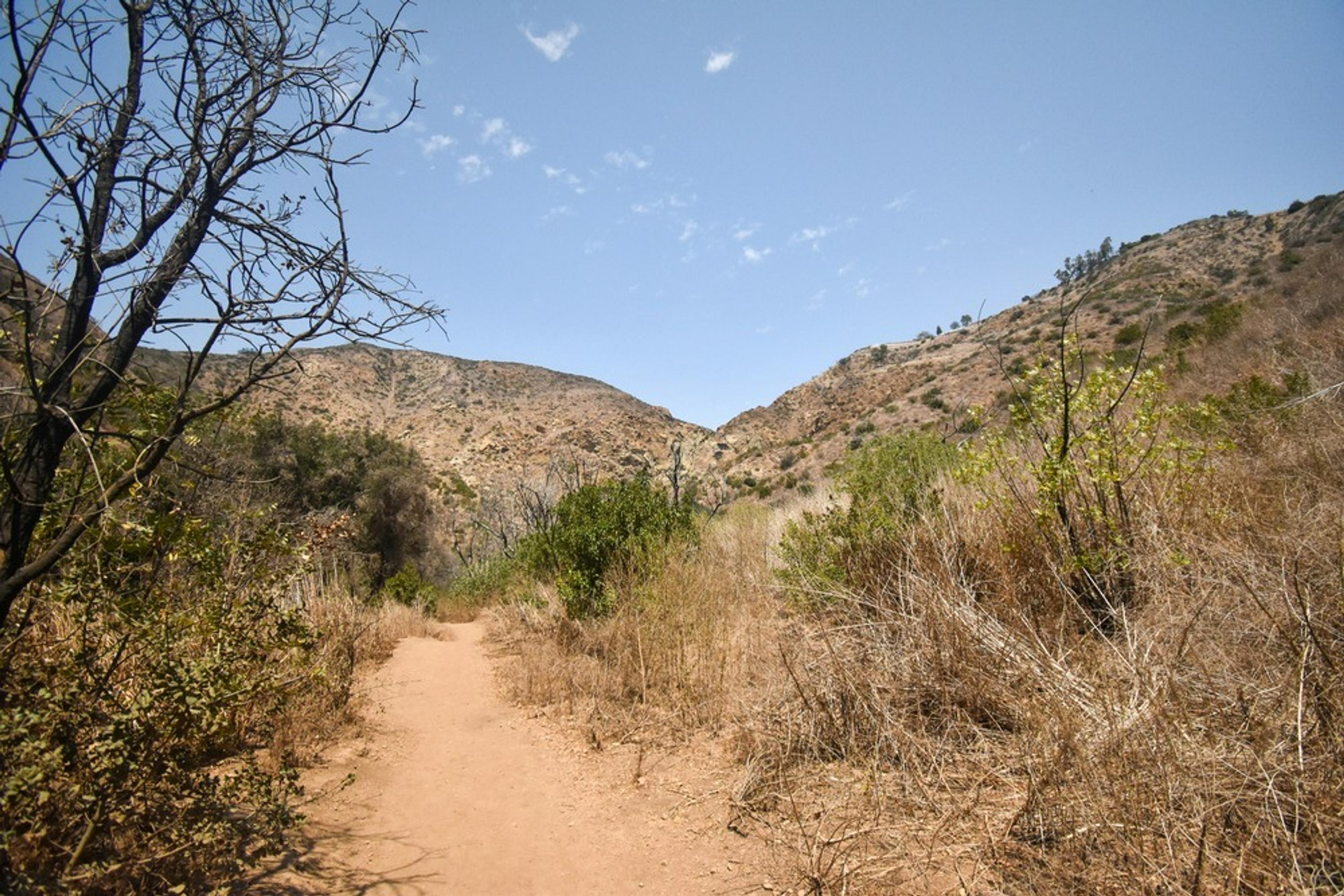 A trail in San Diego County