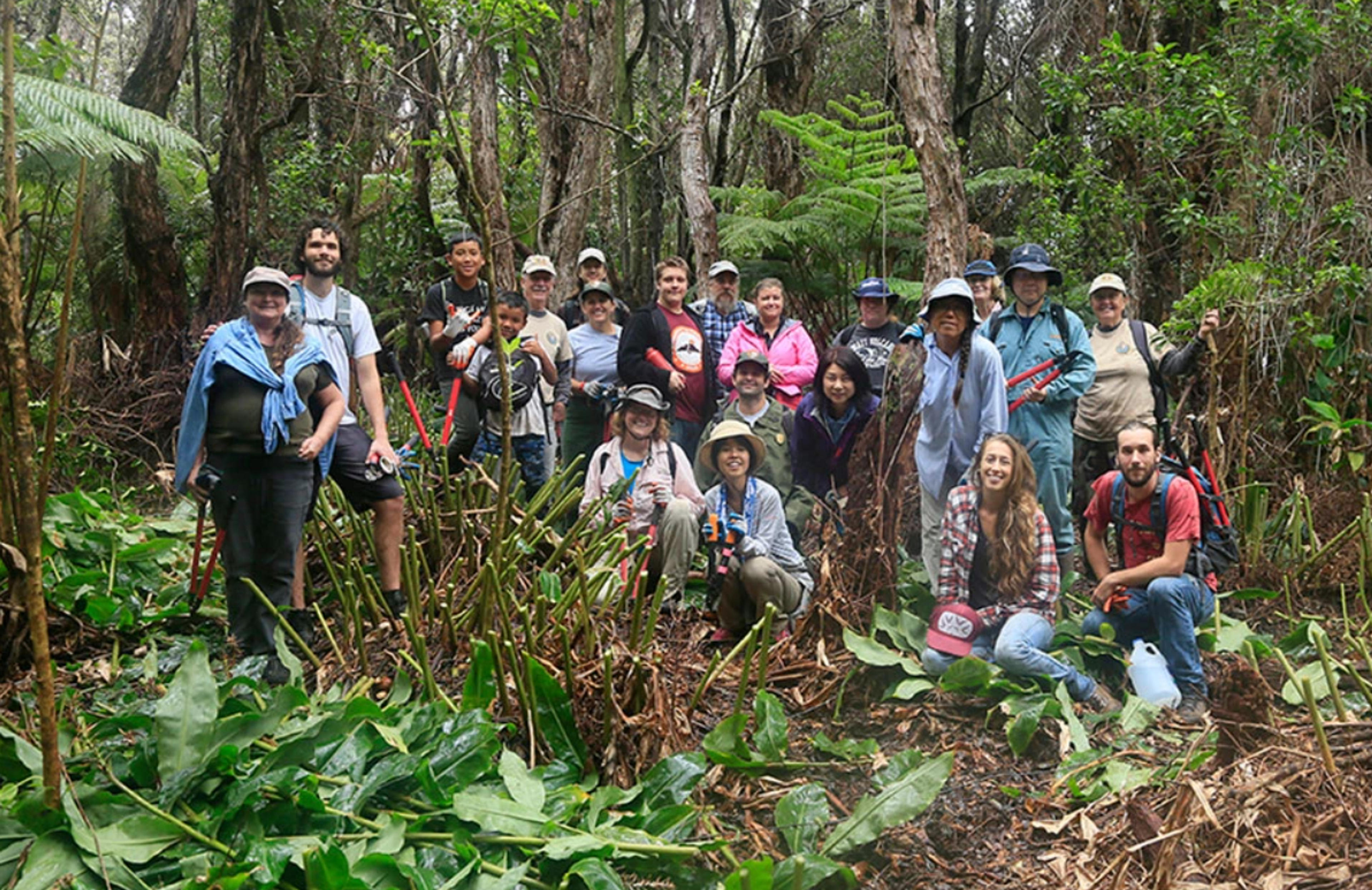 A group of people gathered in the lush greenery of Hawai'i Volcanoes National Park.