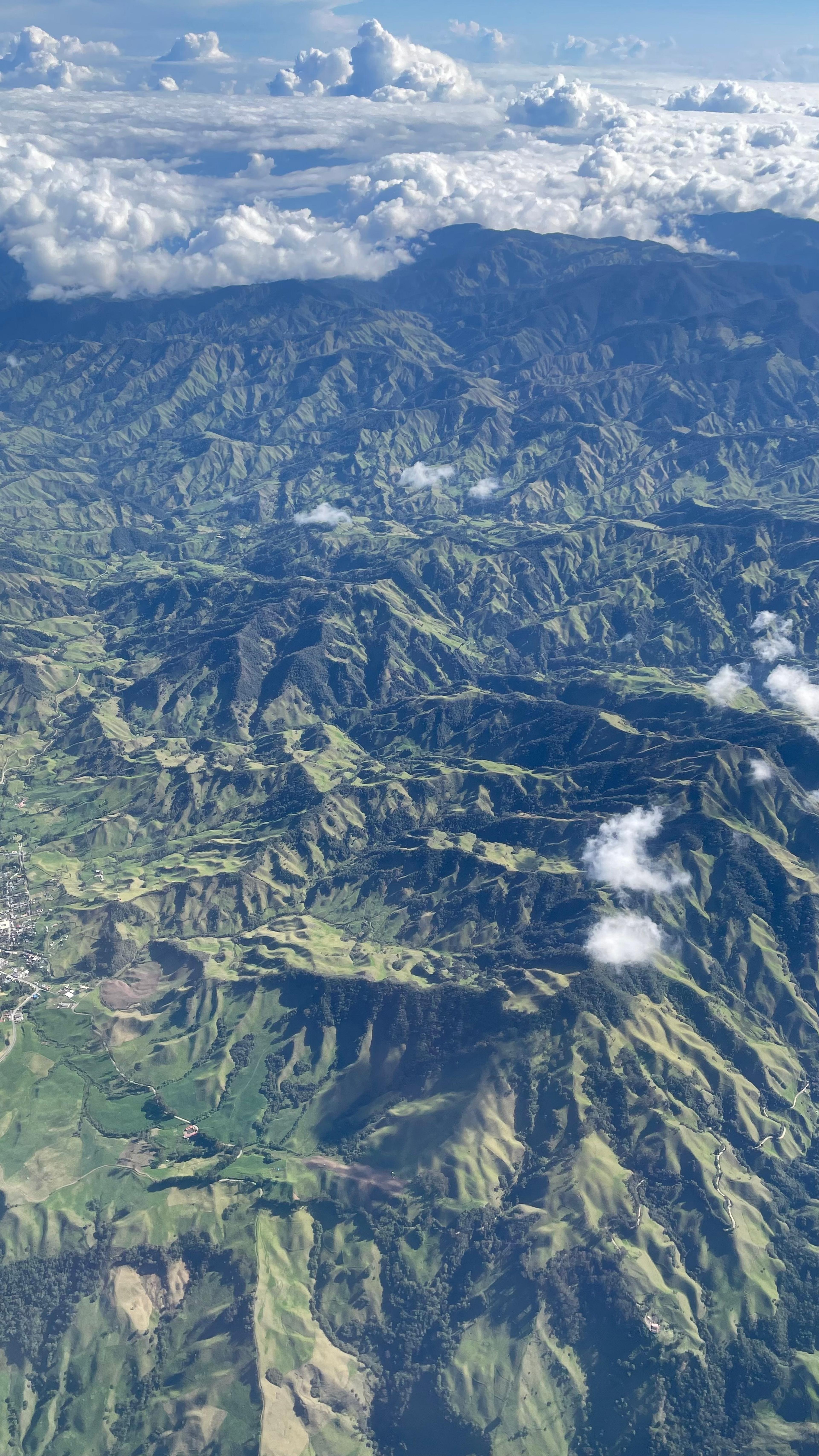 Story from the Treehugger