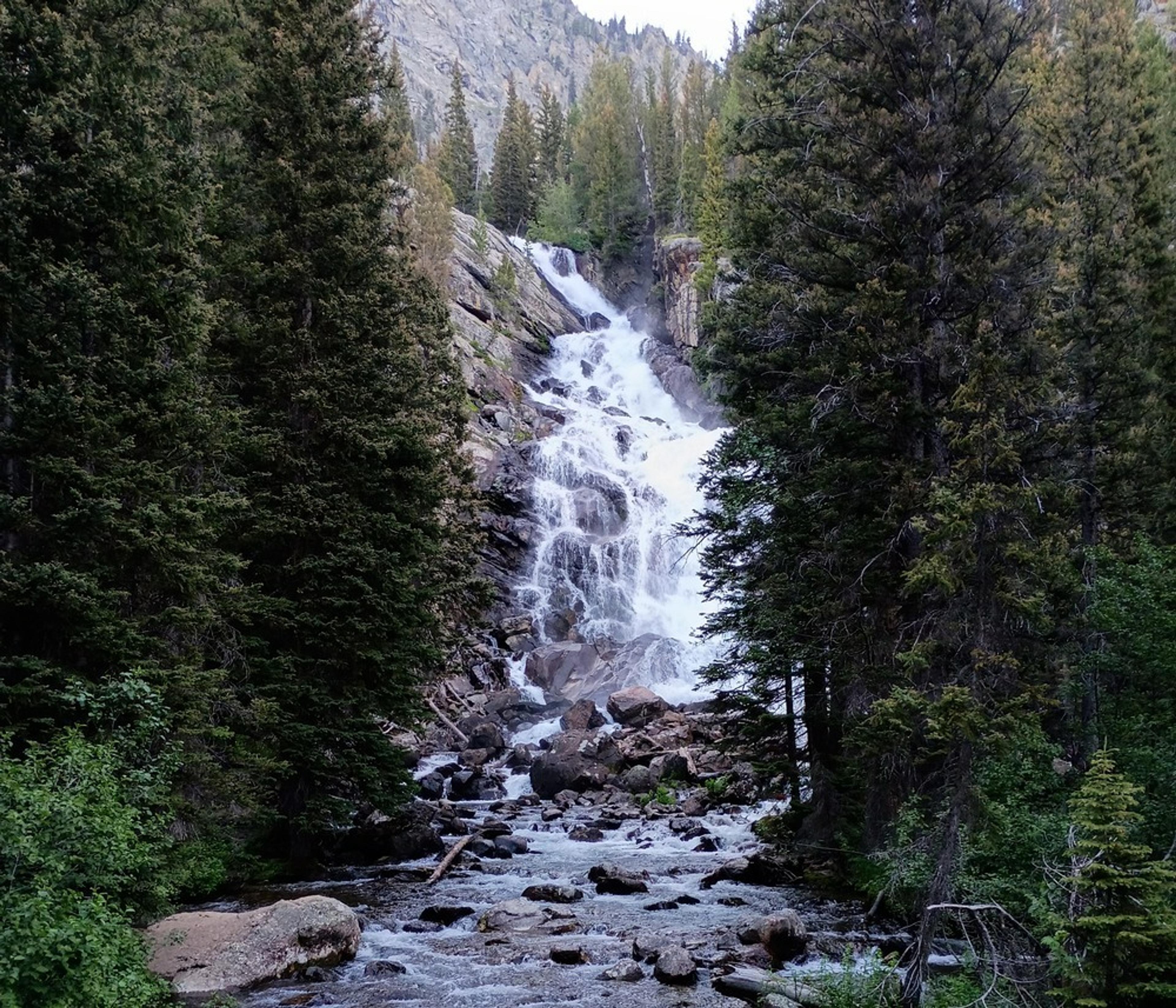 A cascading waterfall flows amid the lush greenery of Hidden Falls in Grand Teton National Park.