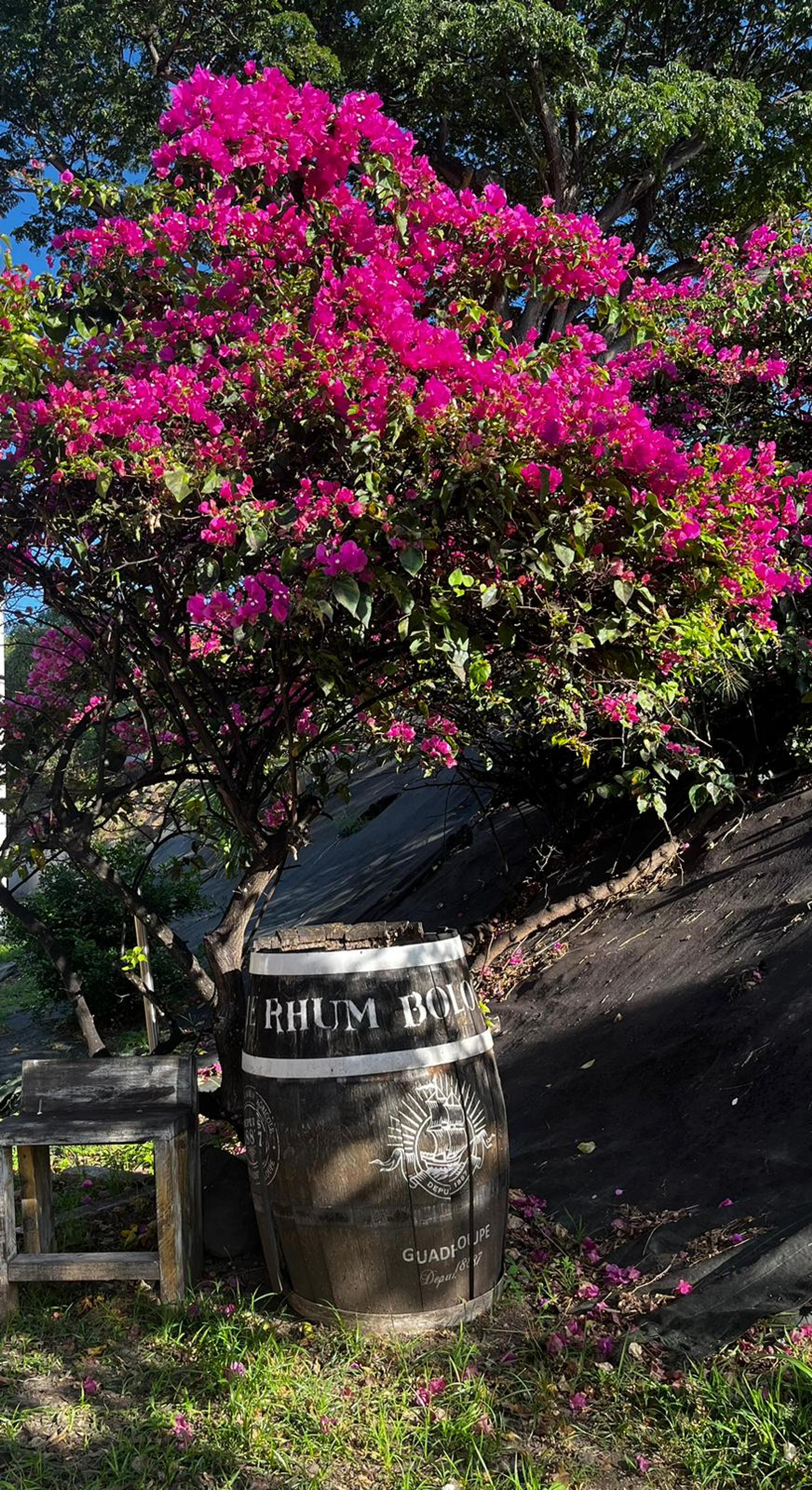 Story from Auld wanderer