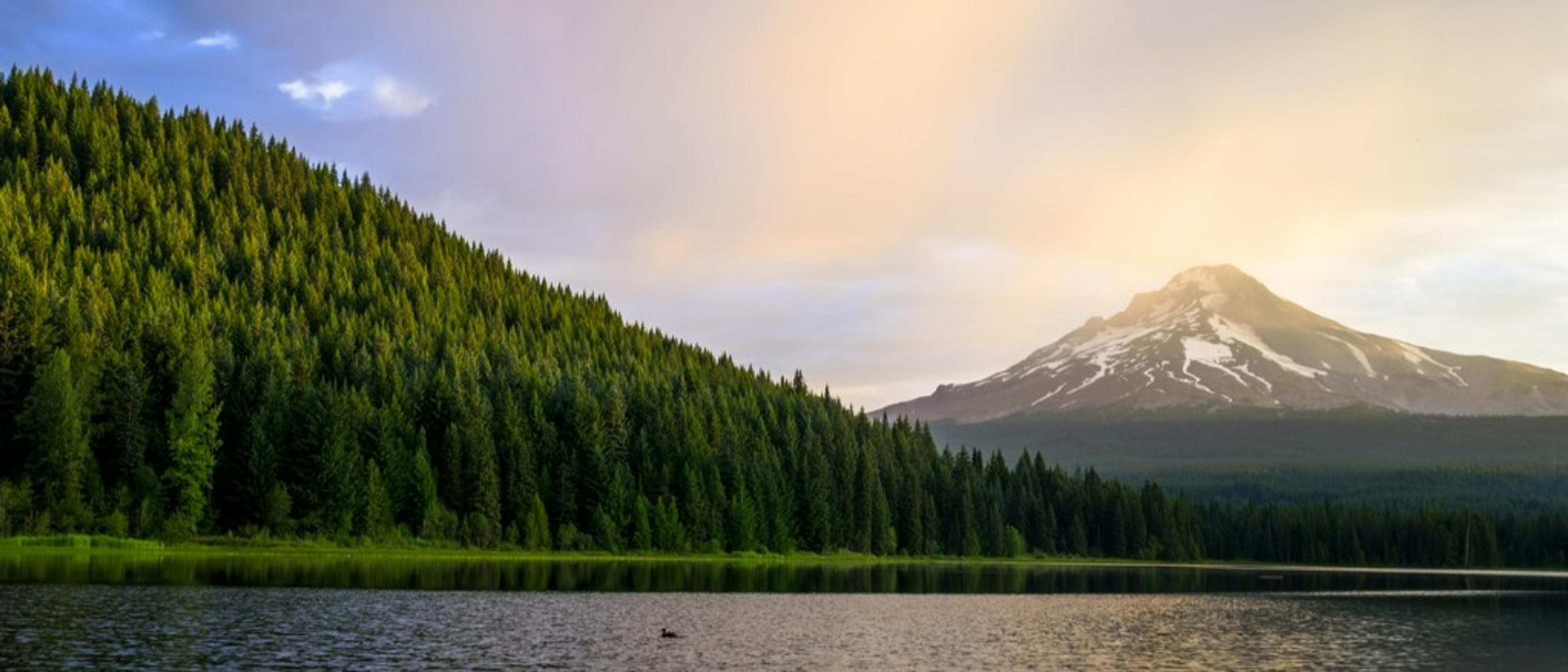 Portland 🏙️ at $149-$157 RT from New York 