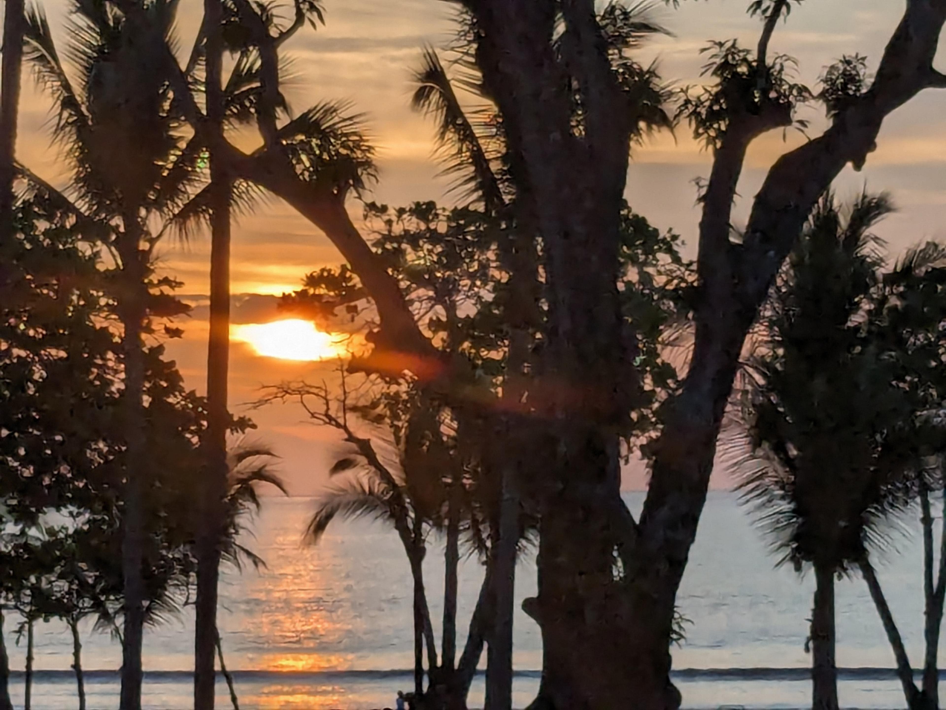 Postcard from Alex, Jeff and Juju x