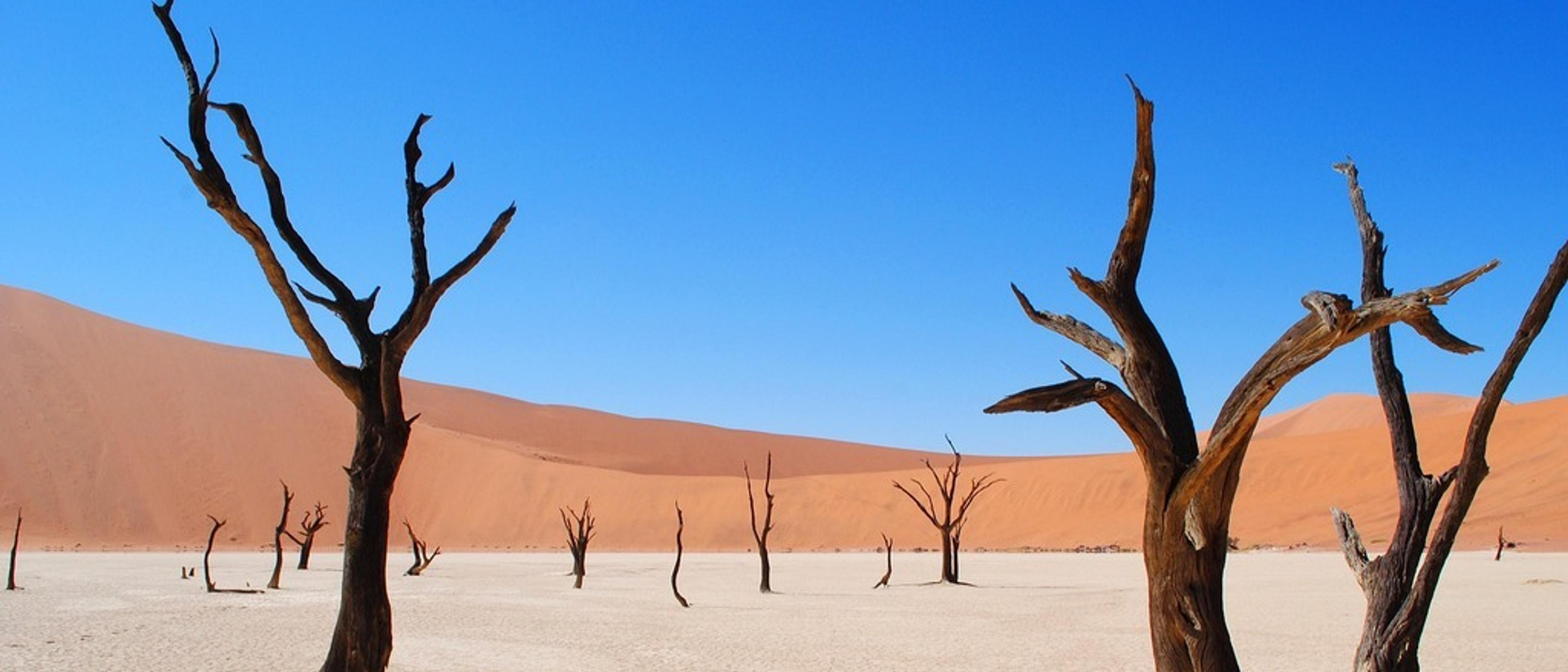 Windhoek, Namibia  in €930s-€980s rtn