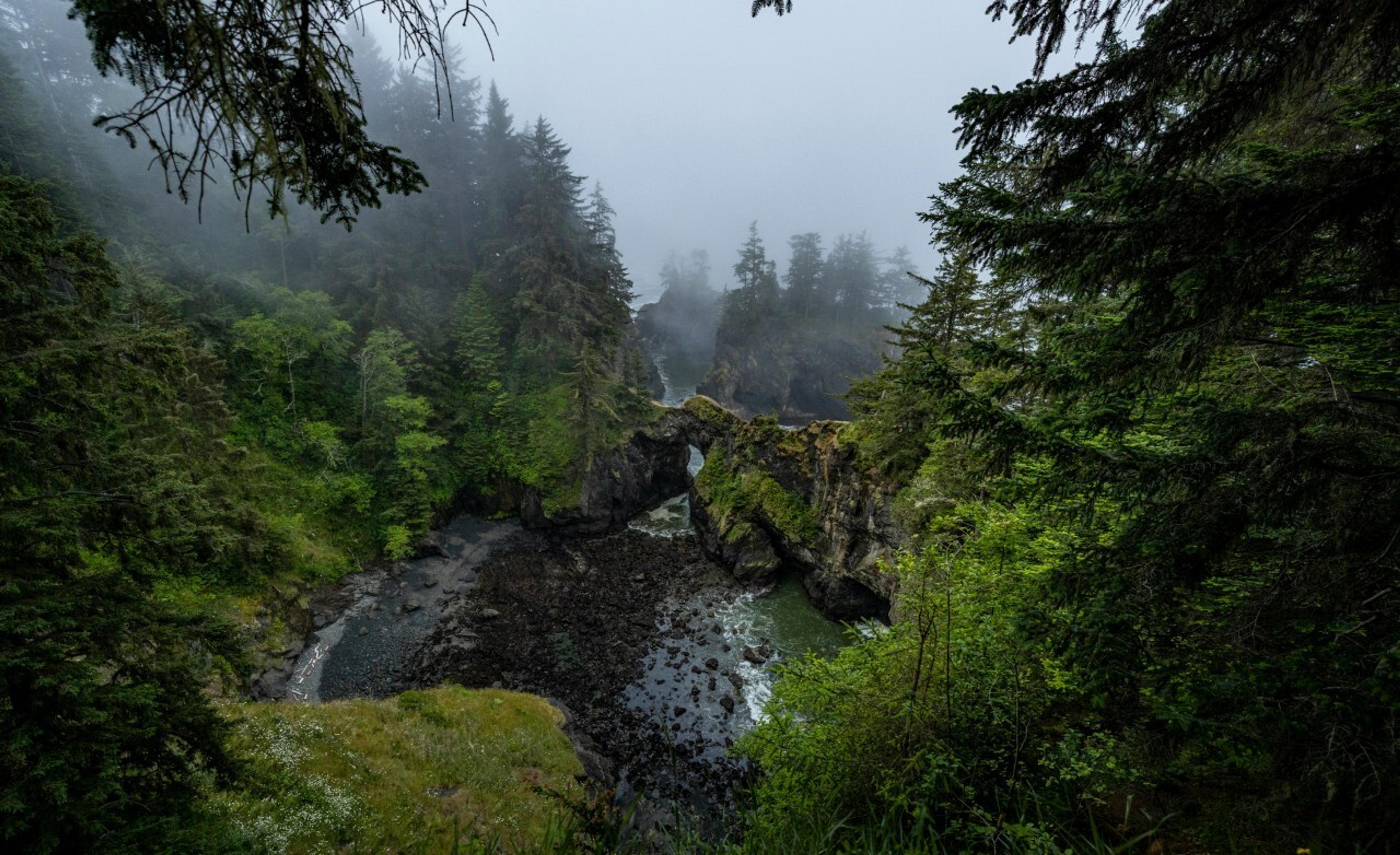 A foggy scene at Natural Bridges in the Samuel H. Boardman State Scenic Corridor, Oregon.