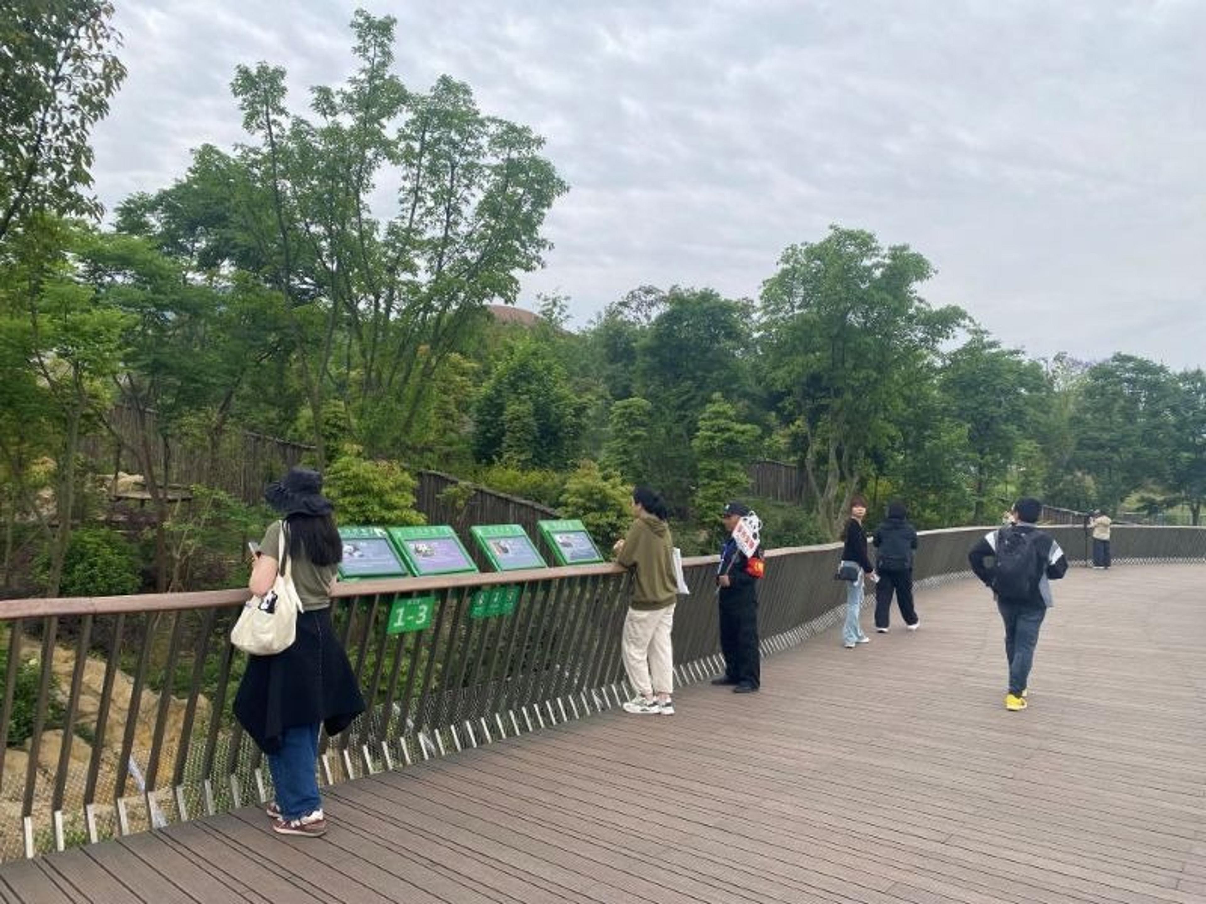 Visitors observe wildlife from a wooden boardwalk at Panda Research in Chengdu