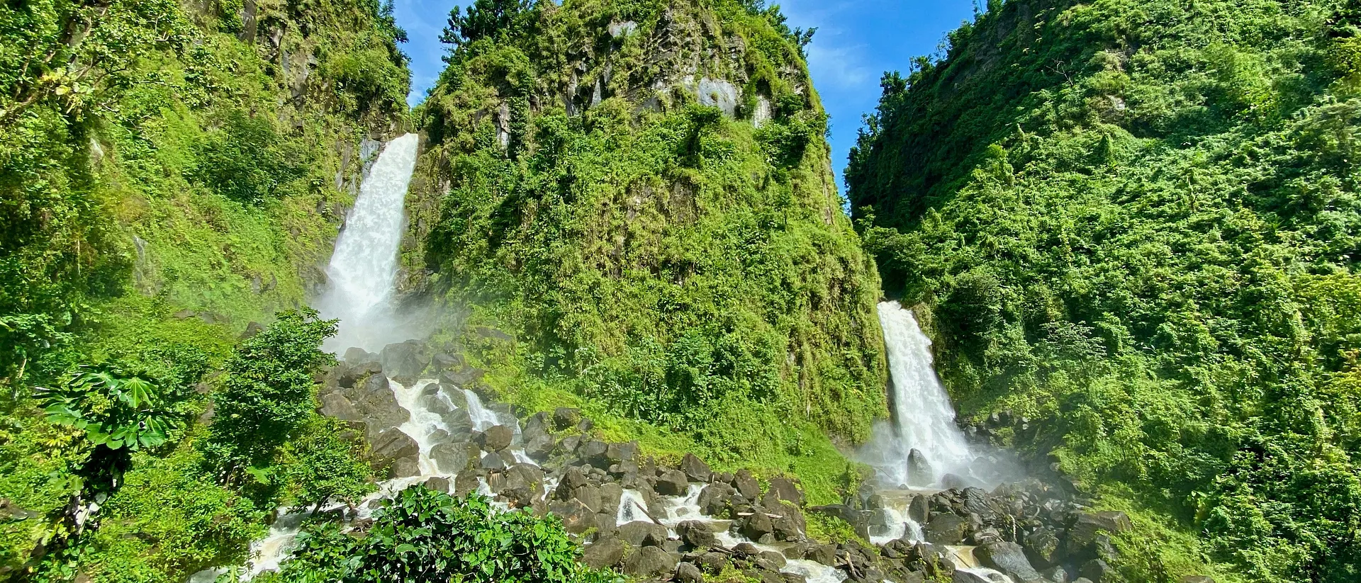 Dominica