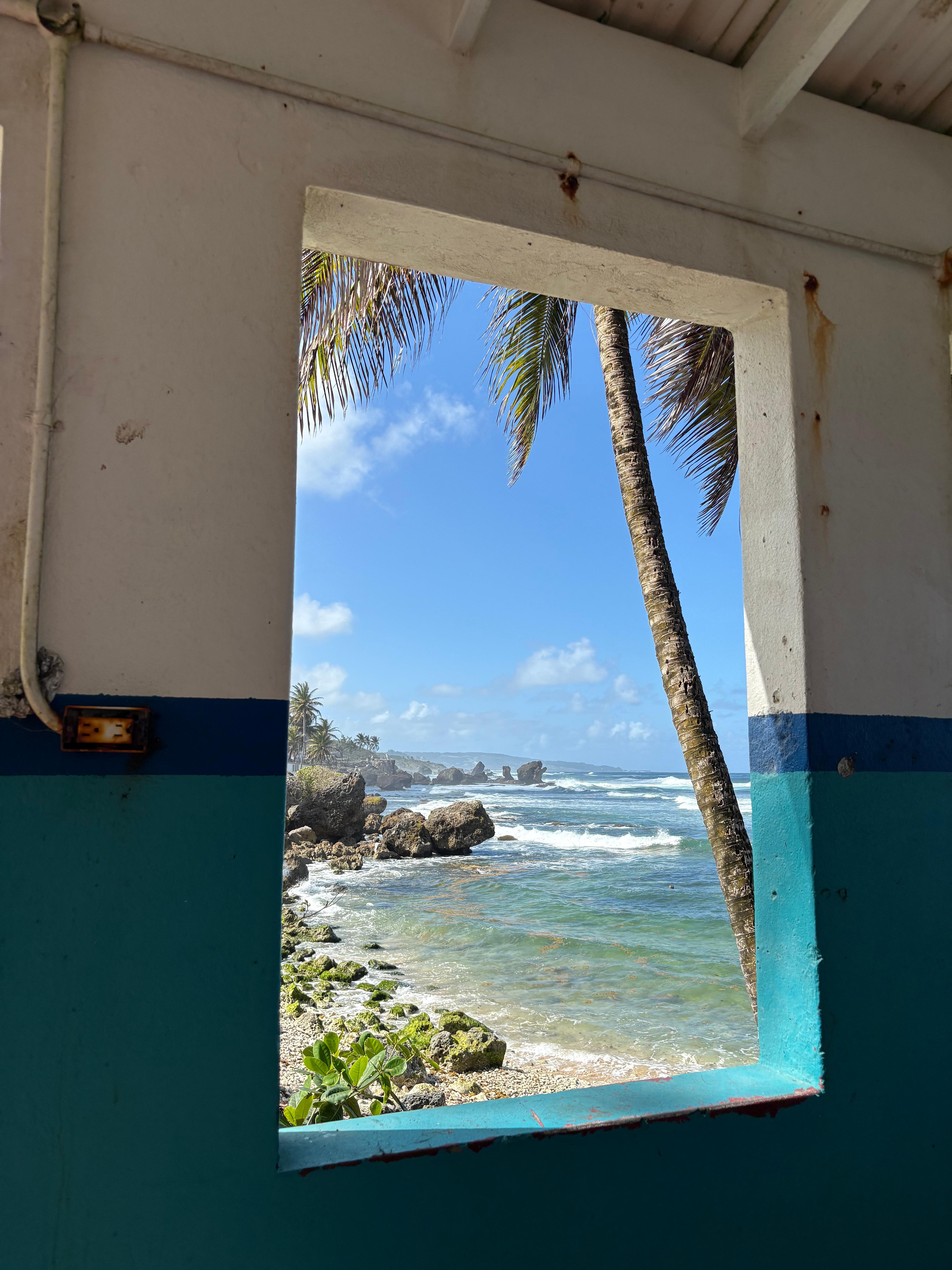 Postcard from Polly!