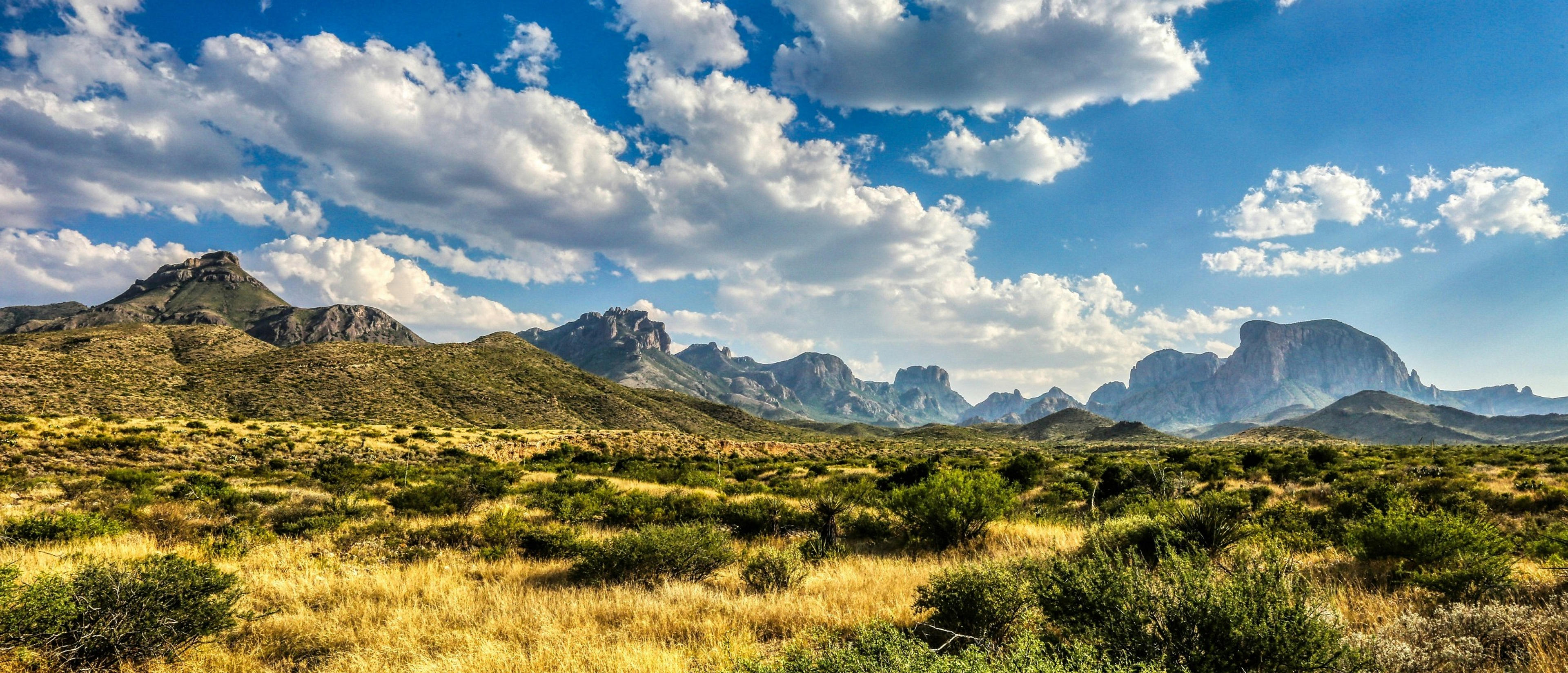South Texas 🌵 at $112-$127 RT from Las Vegas