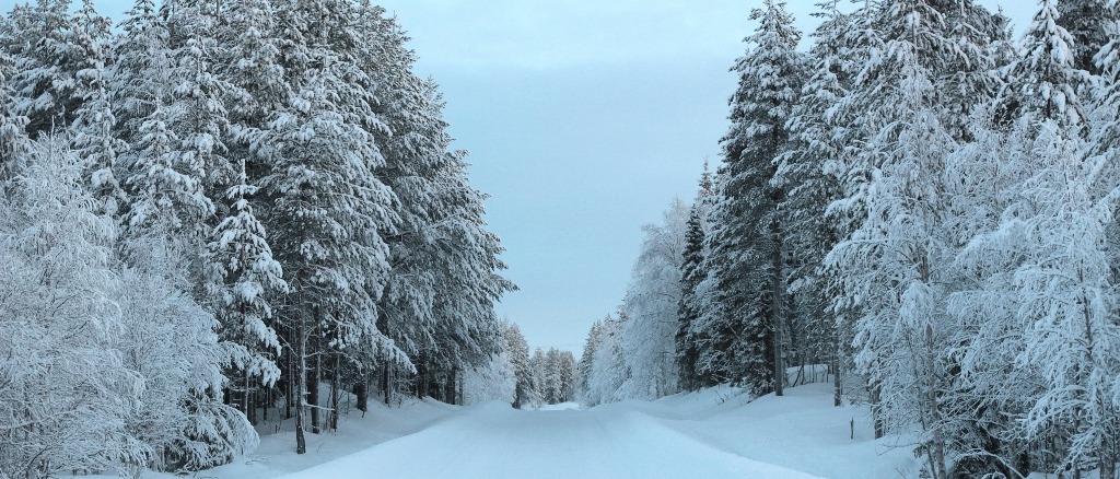 Lapland ⛷️ in £70s-£130s rtn