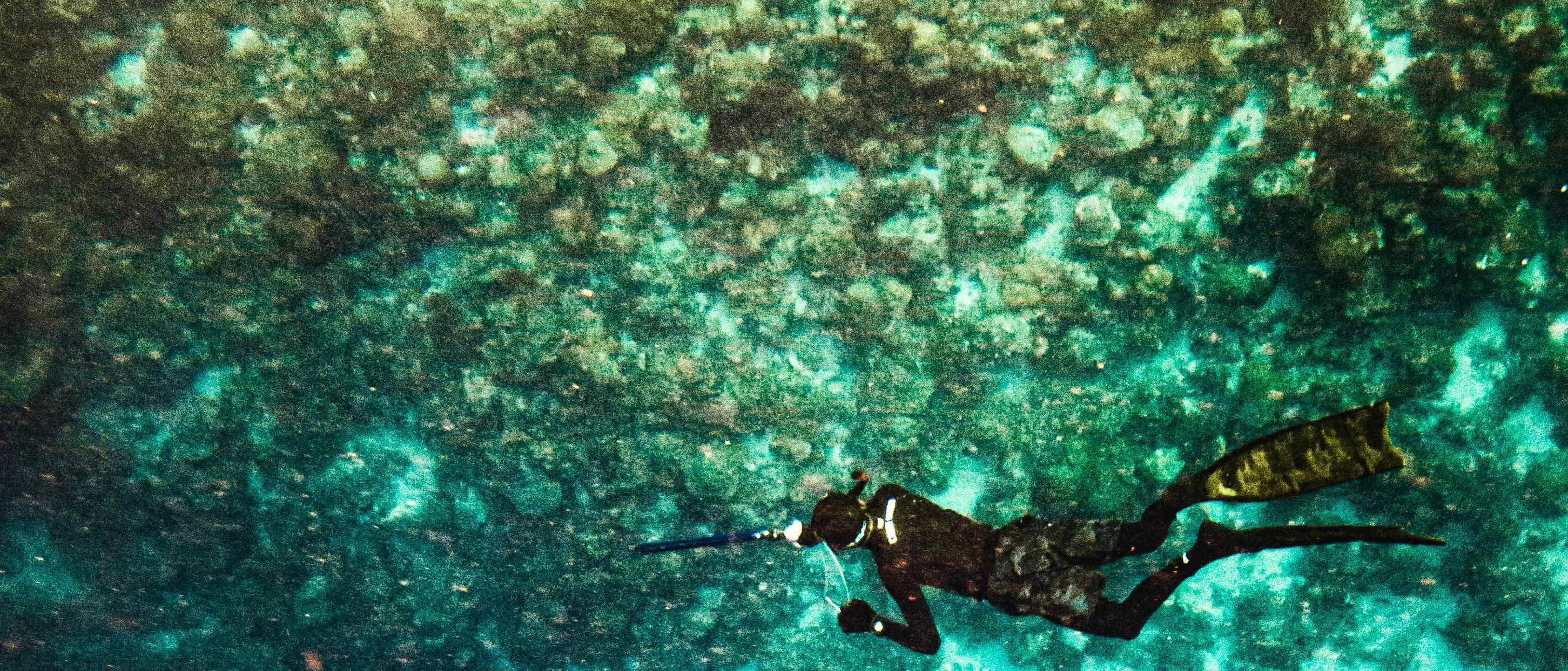 Roatan  in $660s-$690s RT