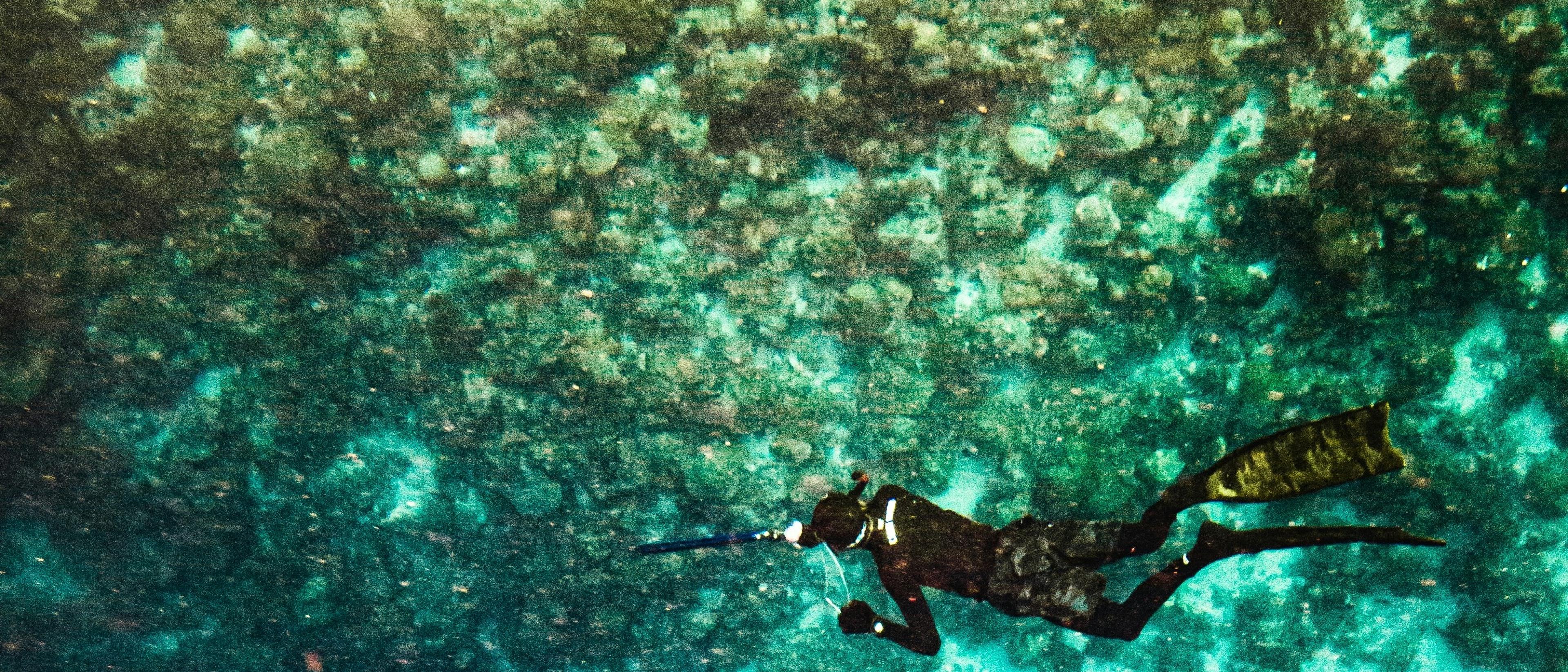 Roatan Island 🤿 at $842 RT