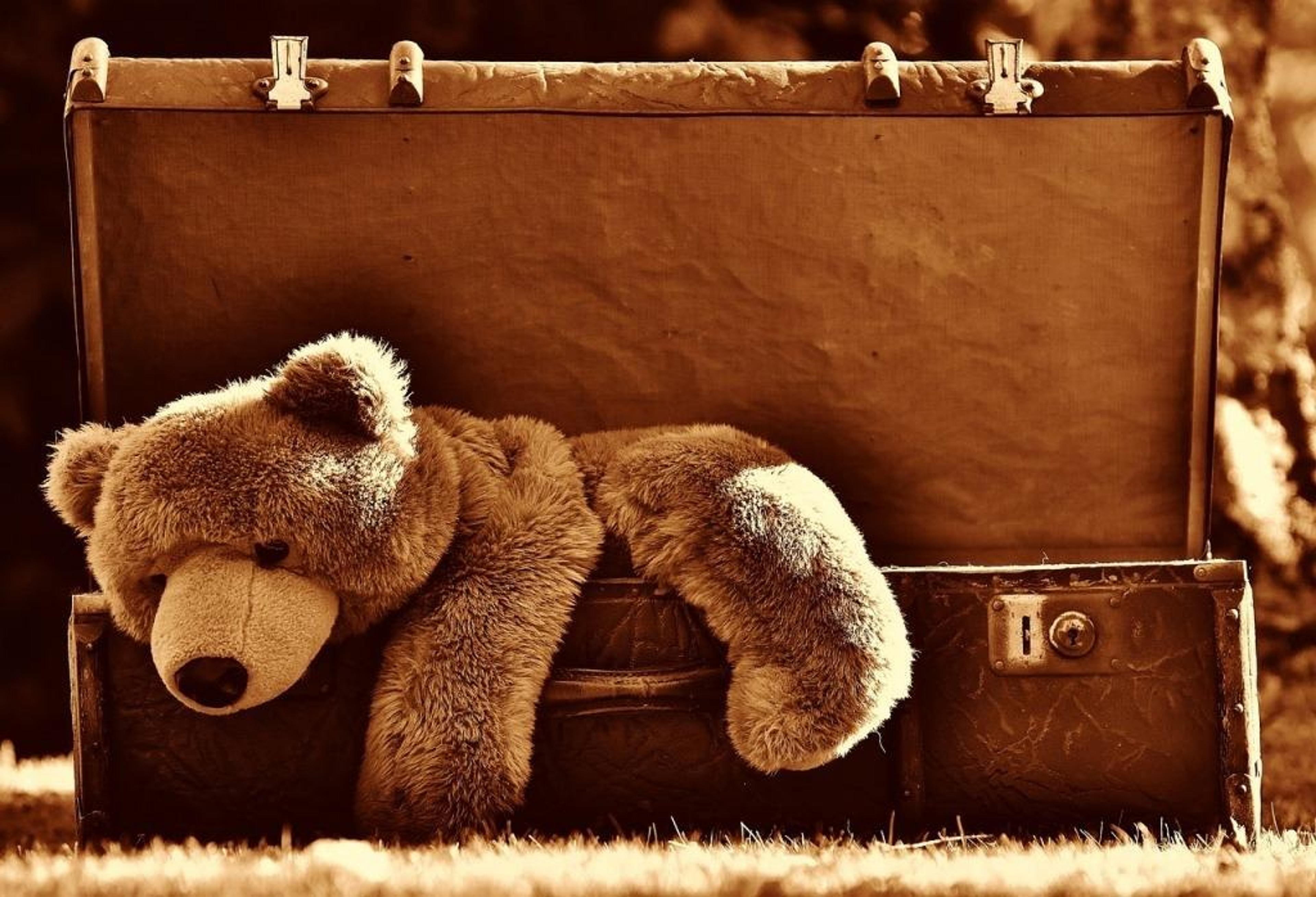 Sad bear in suitcase