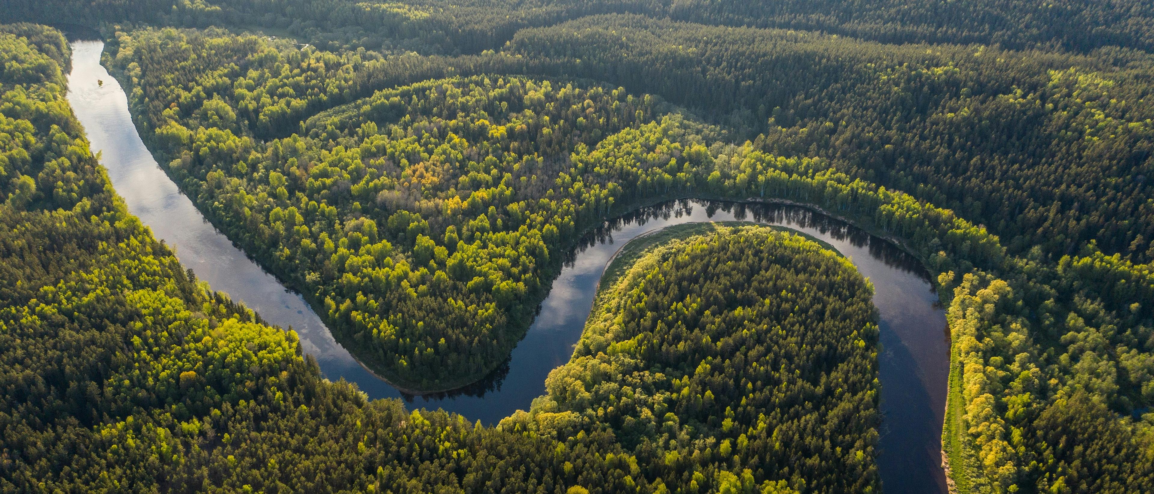 The Amazon Rainforest  in $390s-$420s RT  