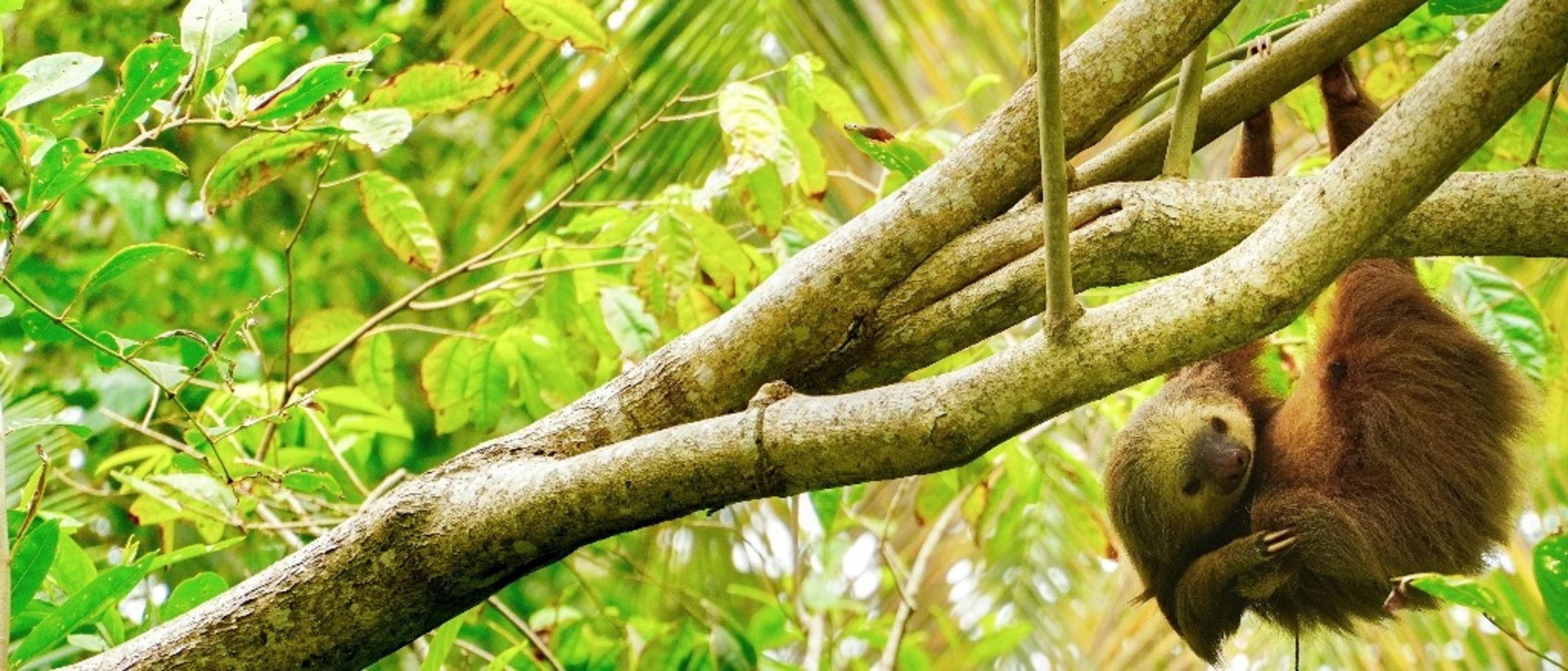 Costa Rica & El Salvador 🌿 in £530s-£590s rtn