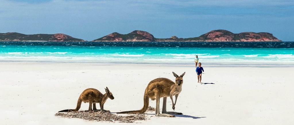 Perth & Brisbane 🐨 in €790s-€860s rtn