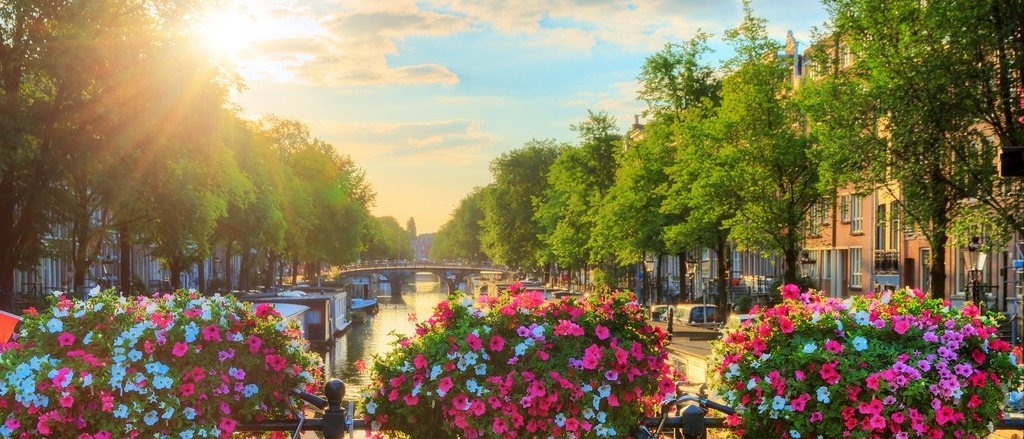 Amsterdam 🌷 in $500s-$700s RT
