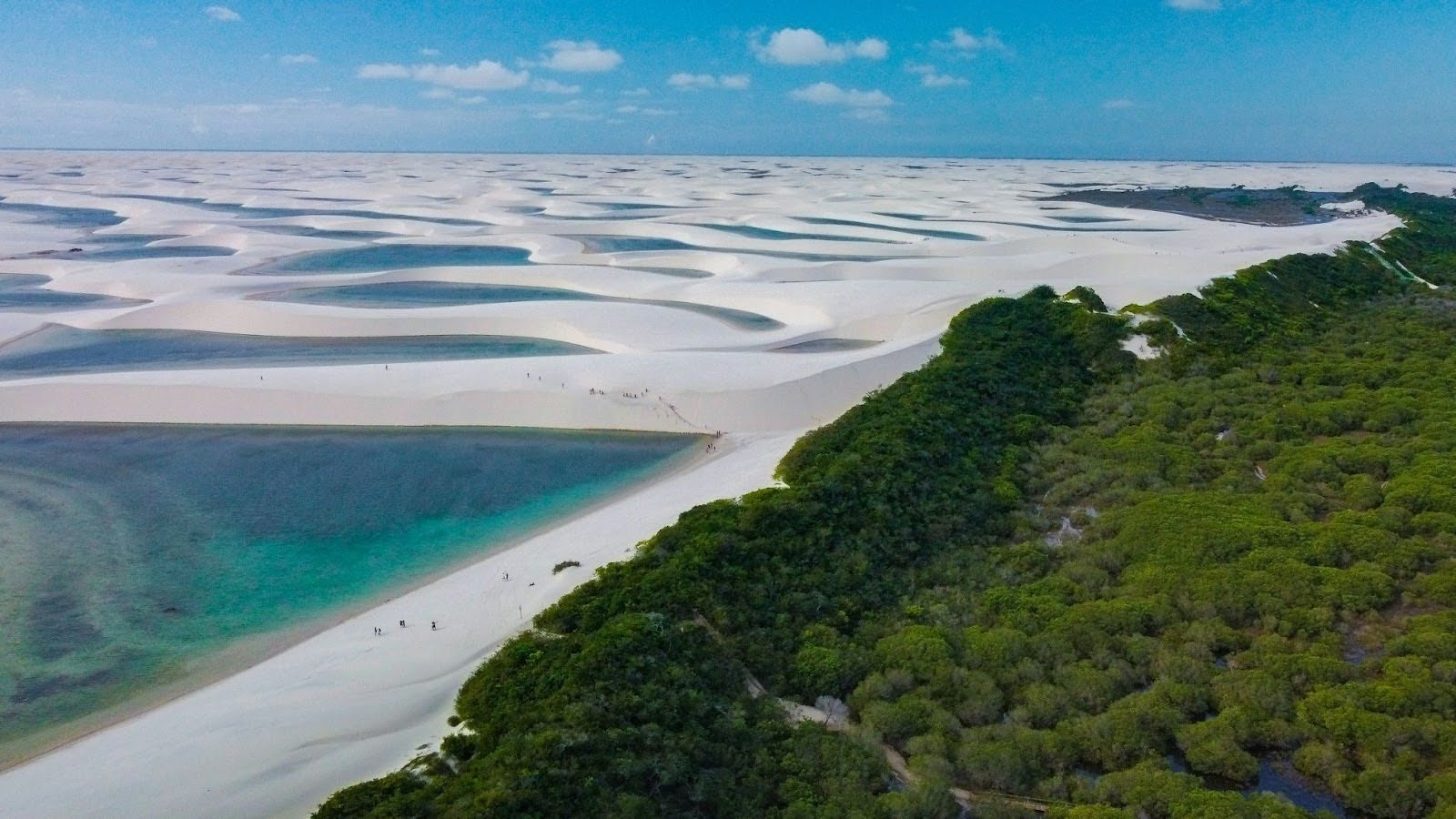 Desert with green trees and a lagoon